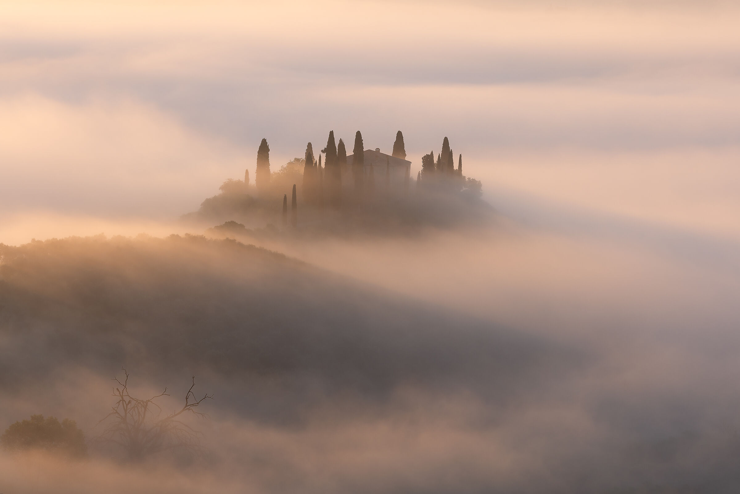 Into the mist