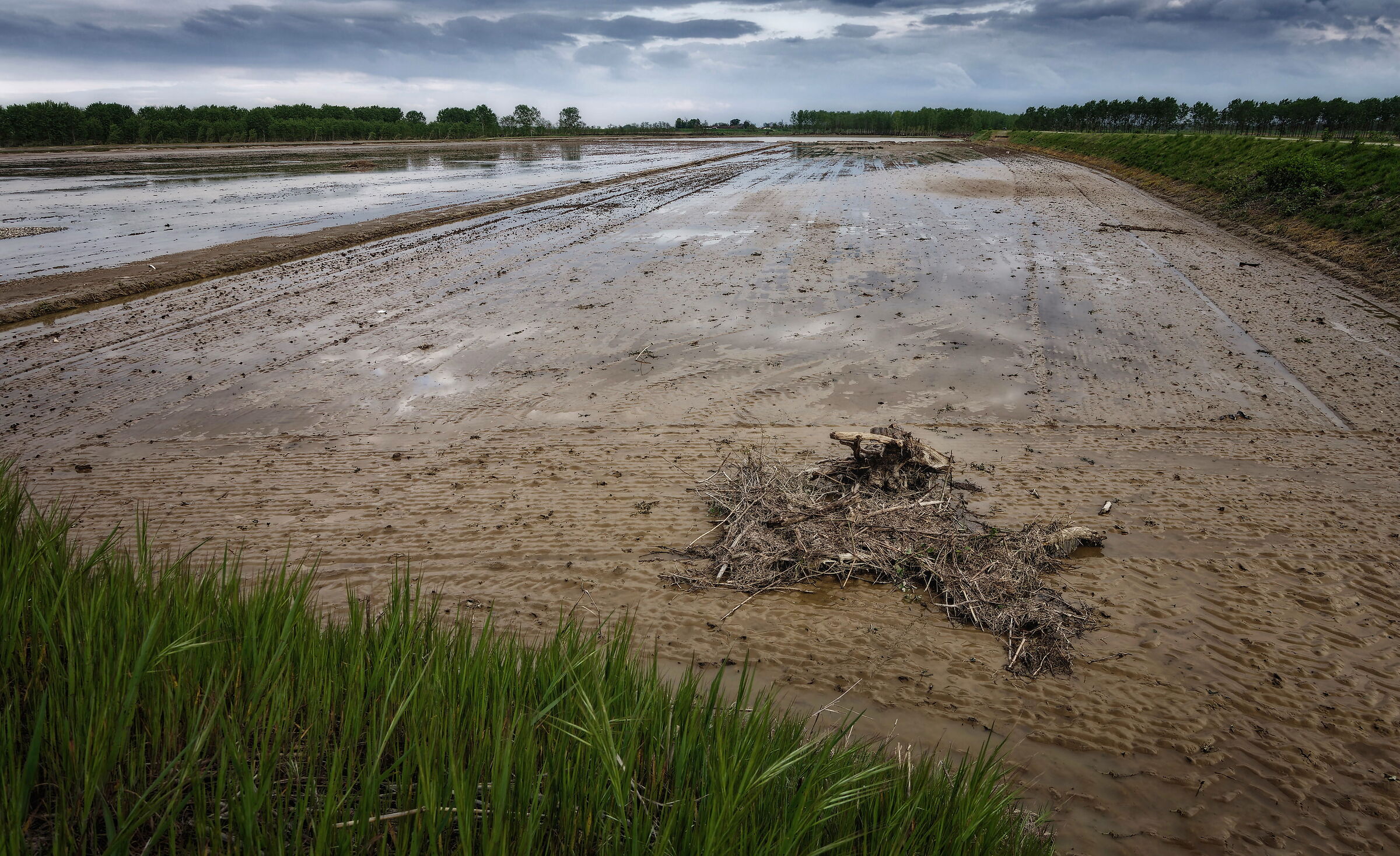 Profondità di campo
