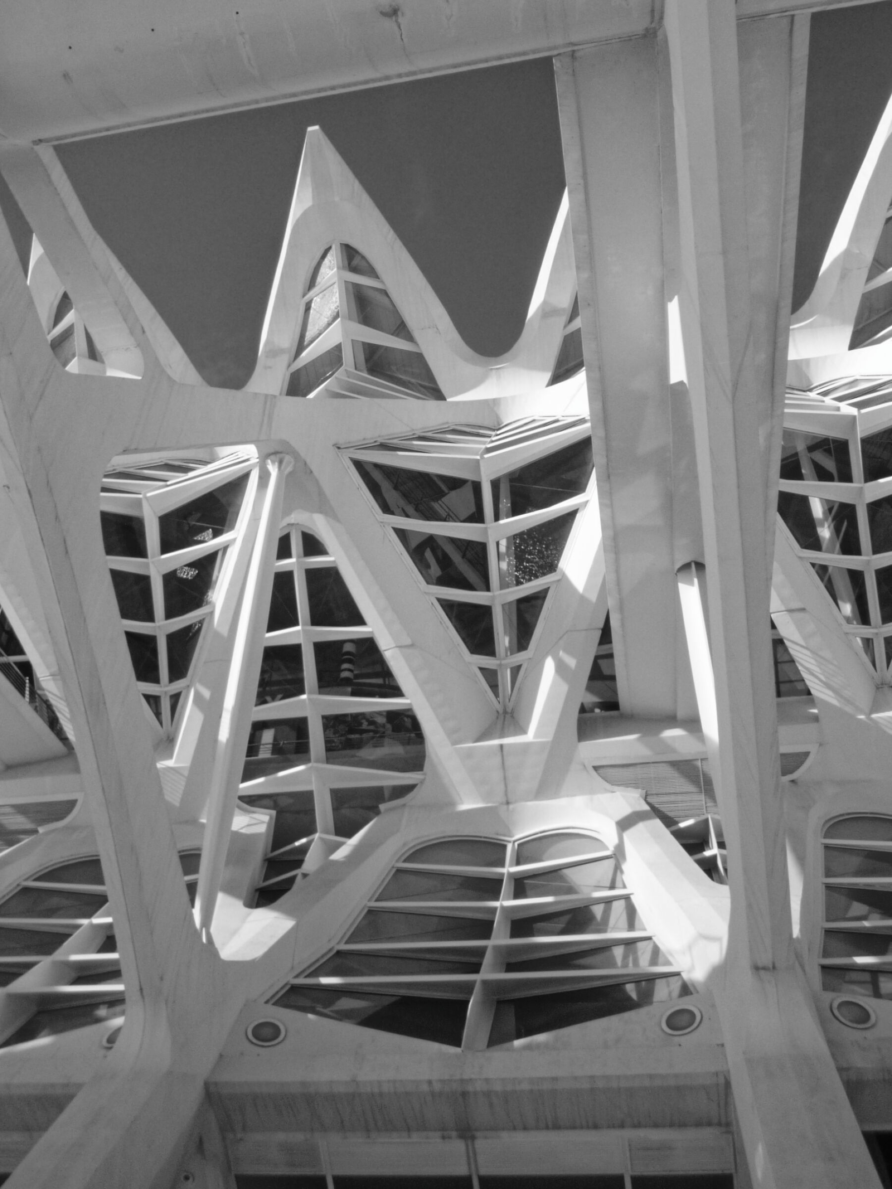 VALENCIA_2014 (P1040619-1)