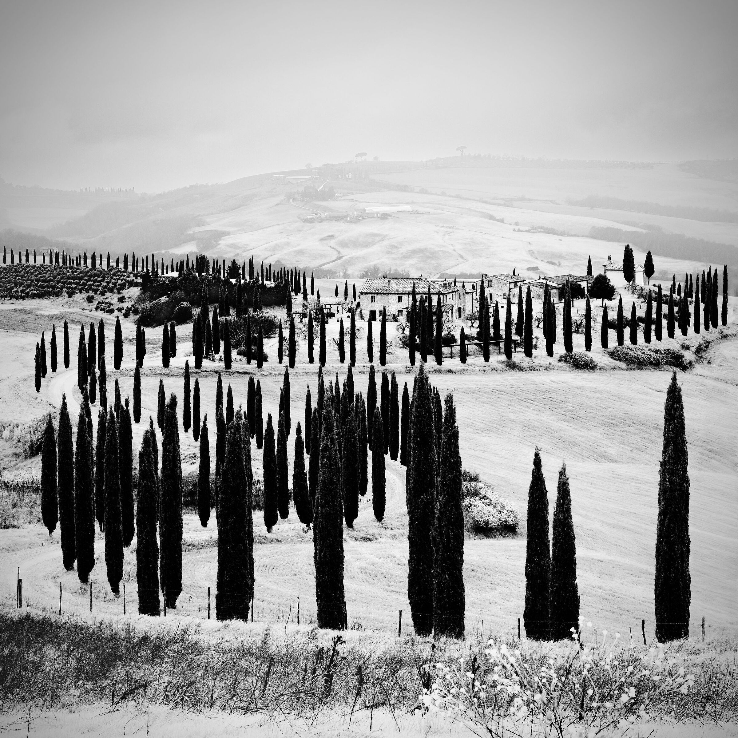 the Land of Cypresses