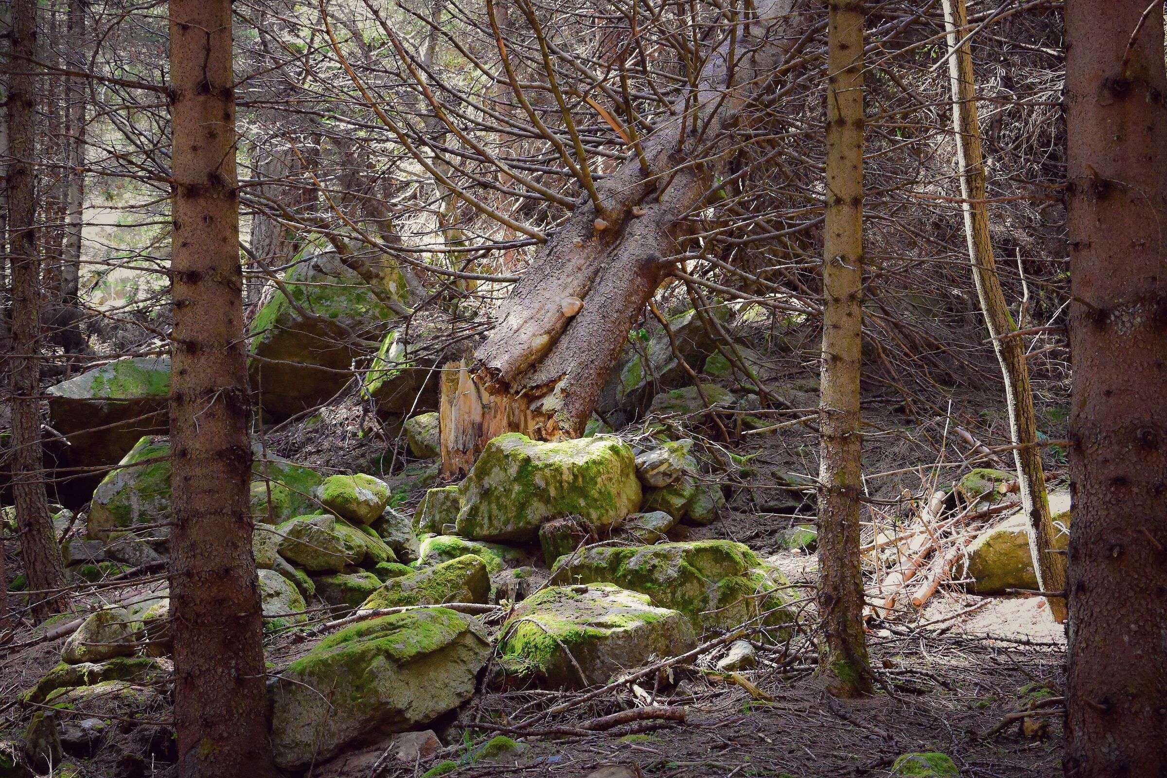 Untitled Photo