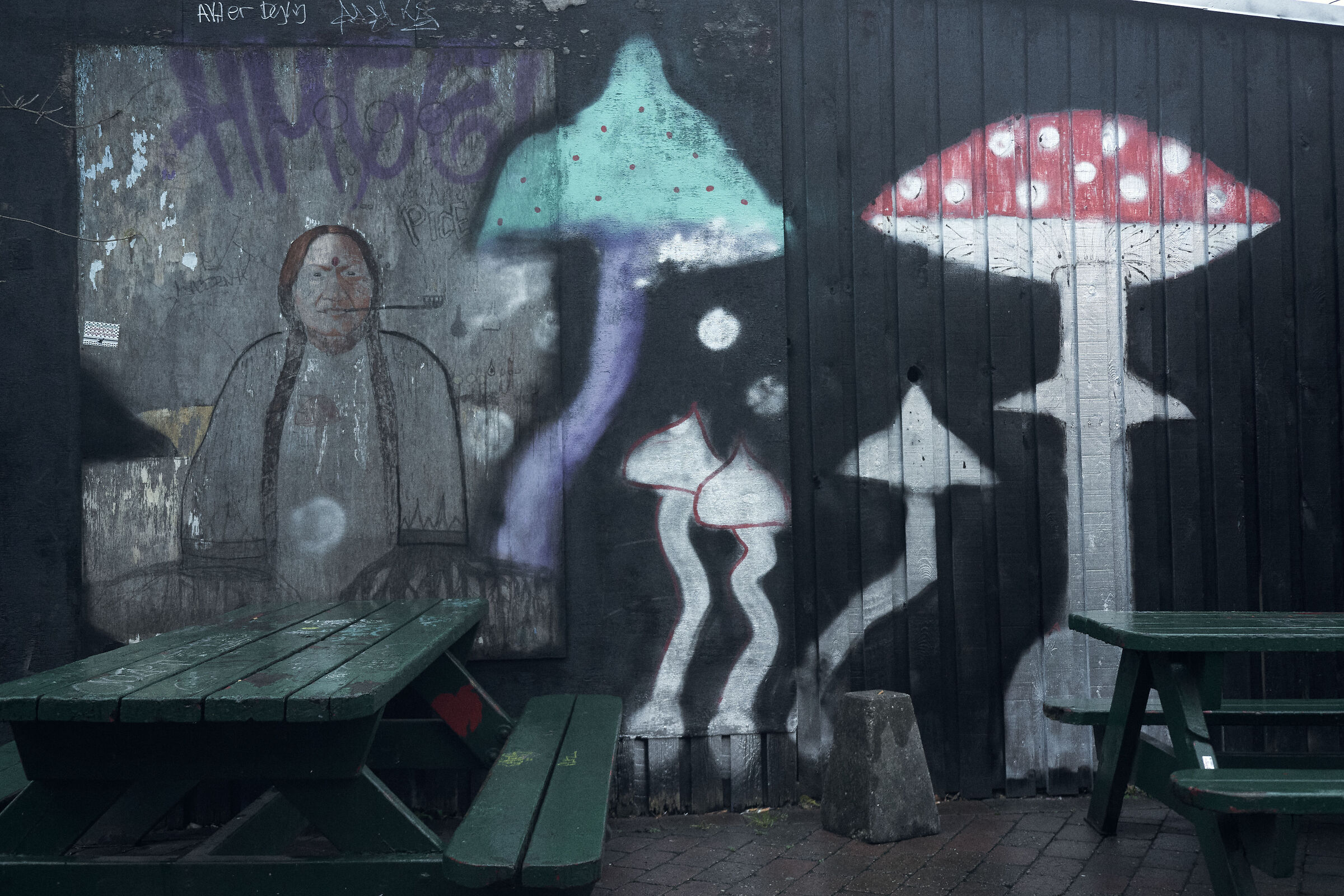 Murales 'allucinogeni' nel ghetto di Christiania