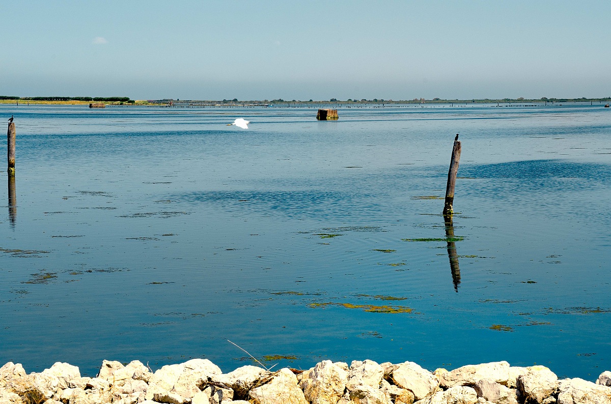 Parco del Delta del Po