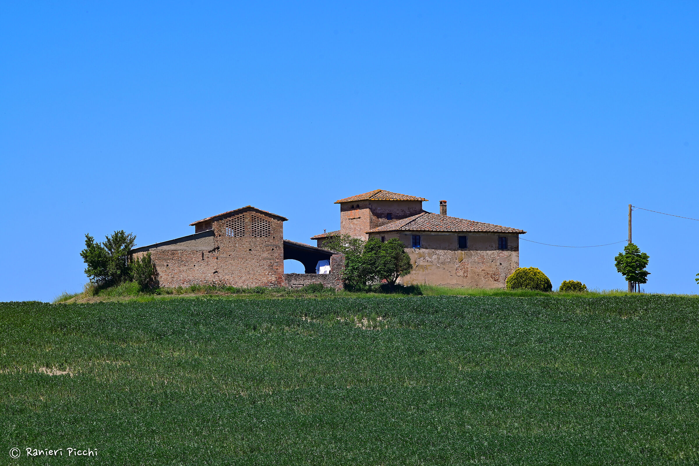 Nel Chianti