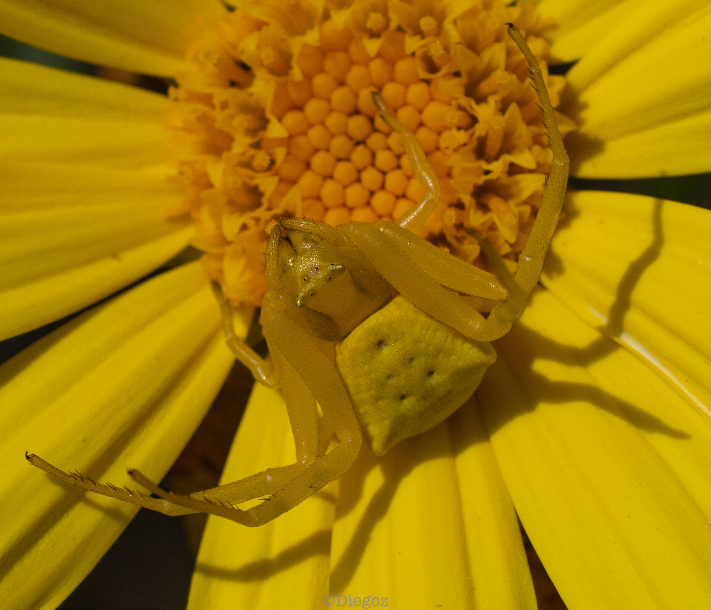 Untitled Photo