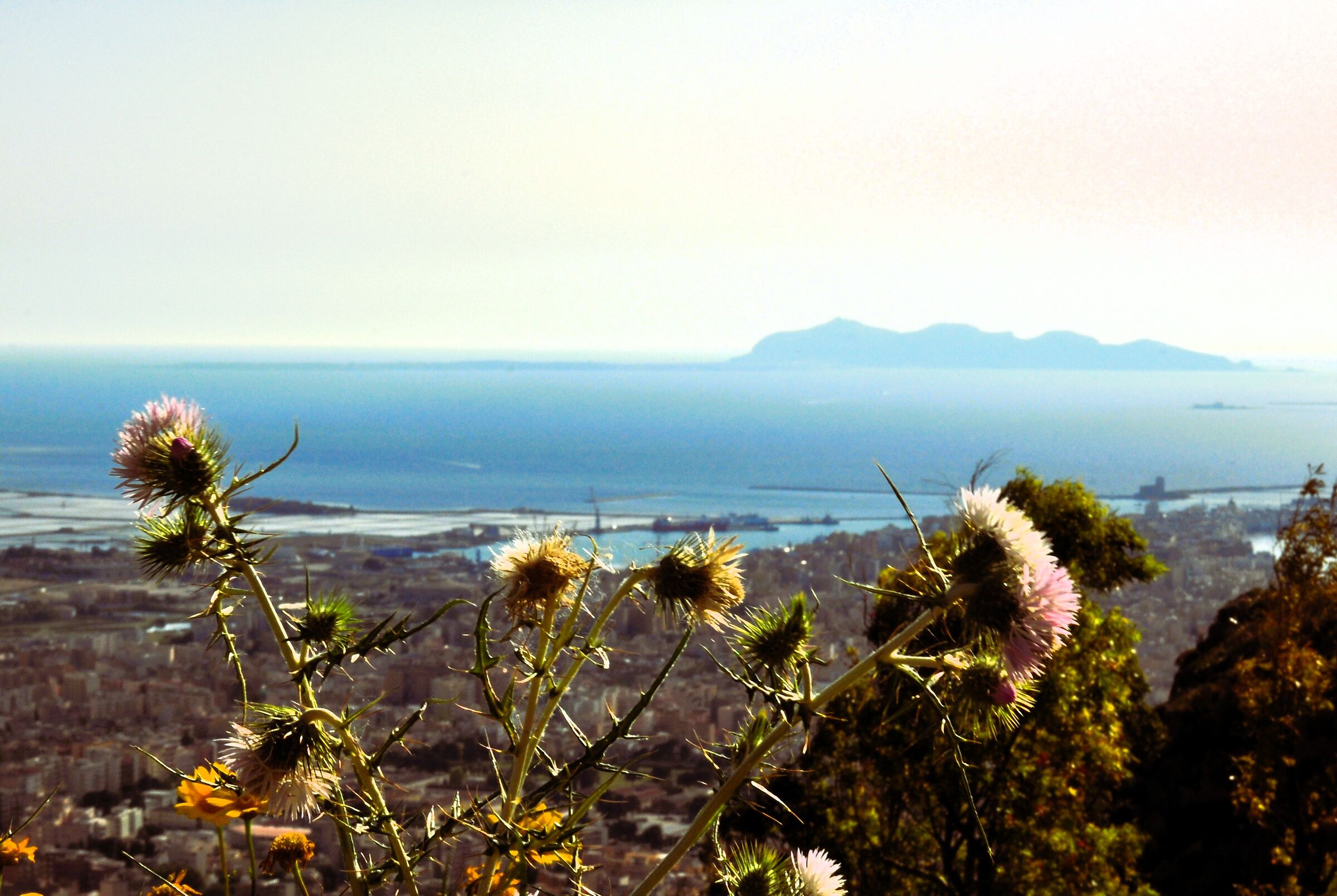 Trapani - Panorama Favignana in the background
