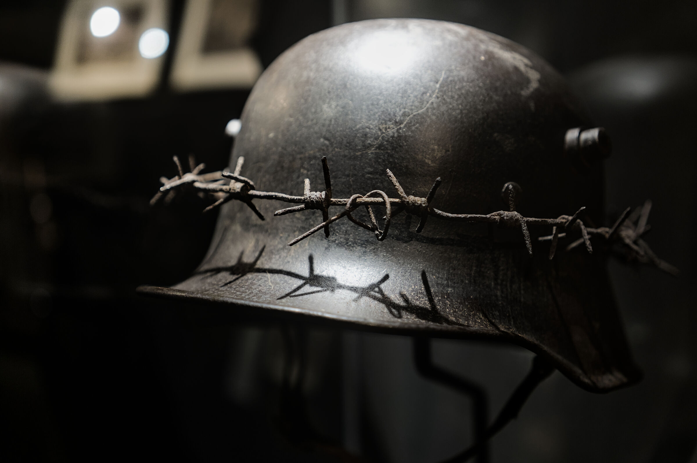 The crown of thorns