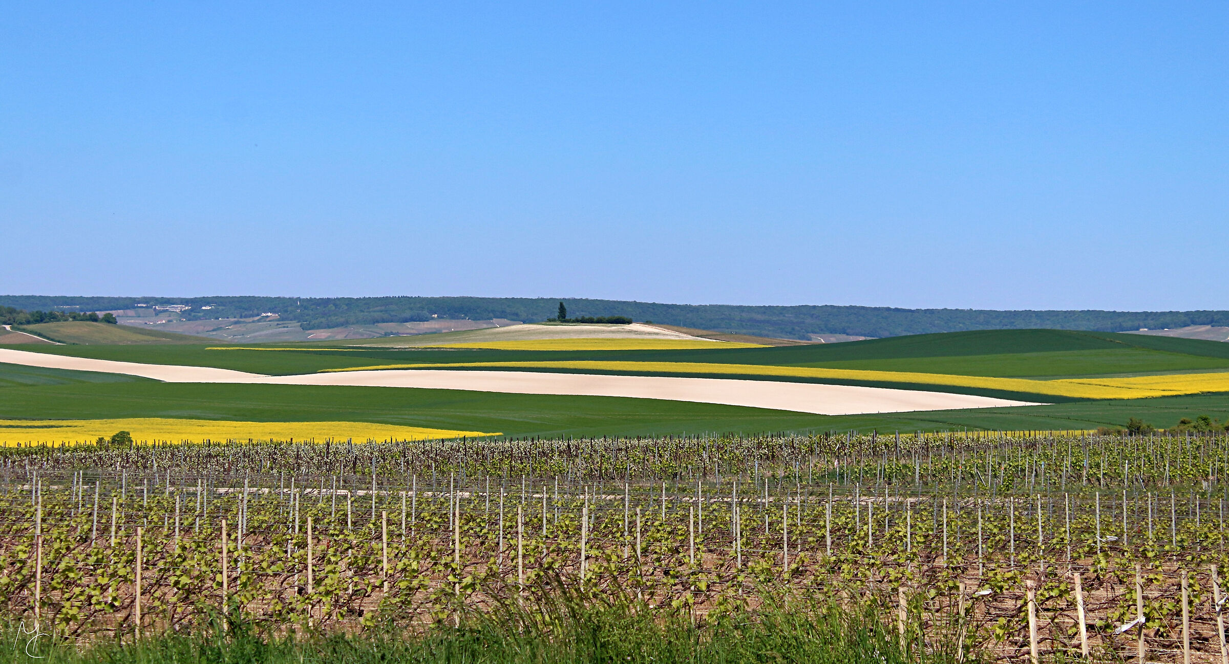 Champagne-Paysage