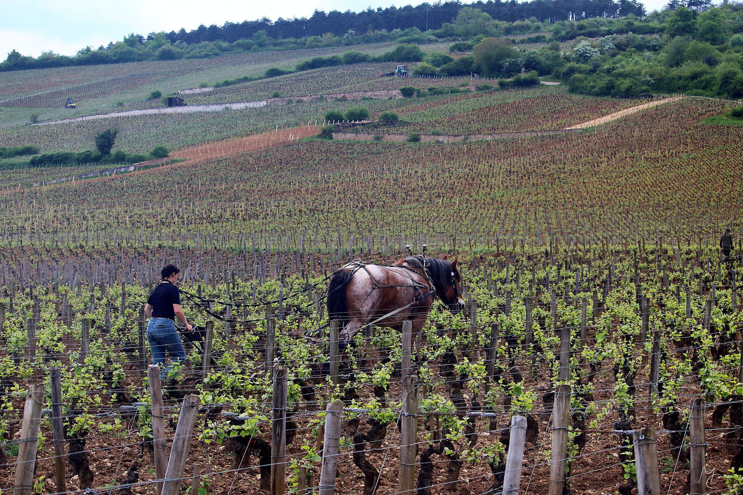 At work as it used to be...