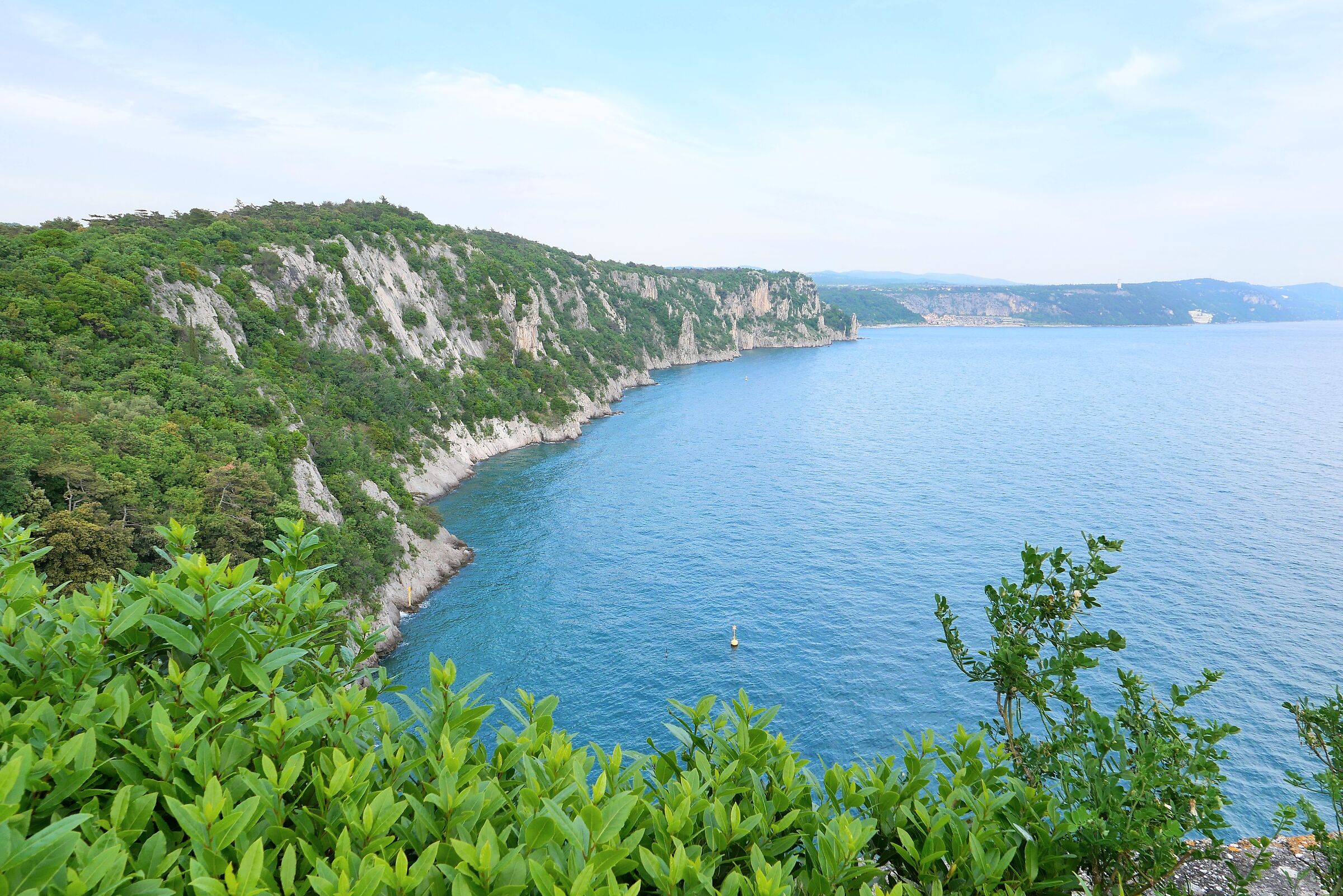 Duino