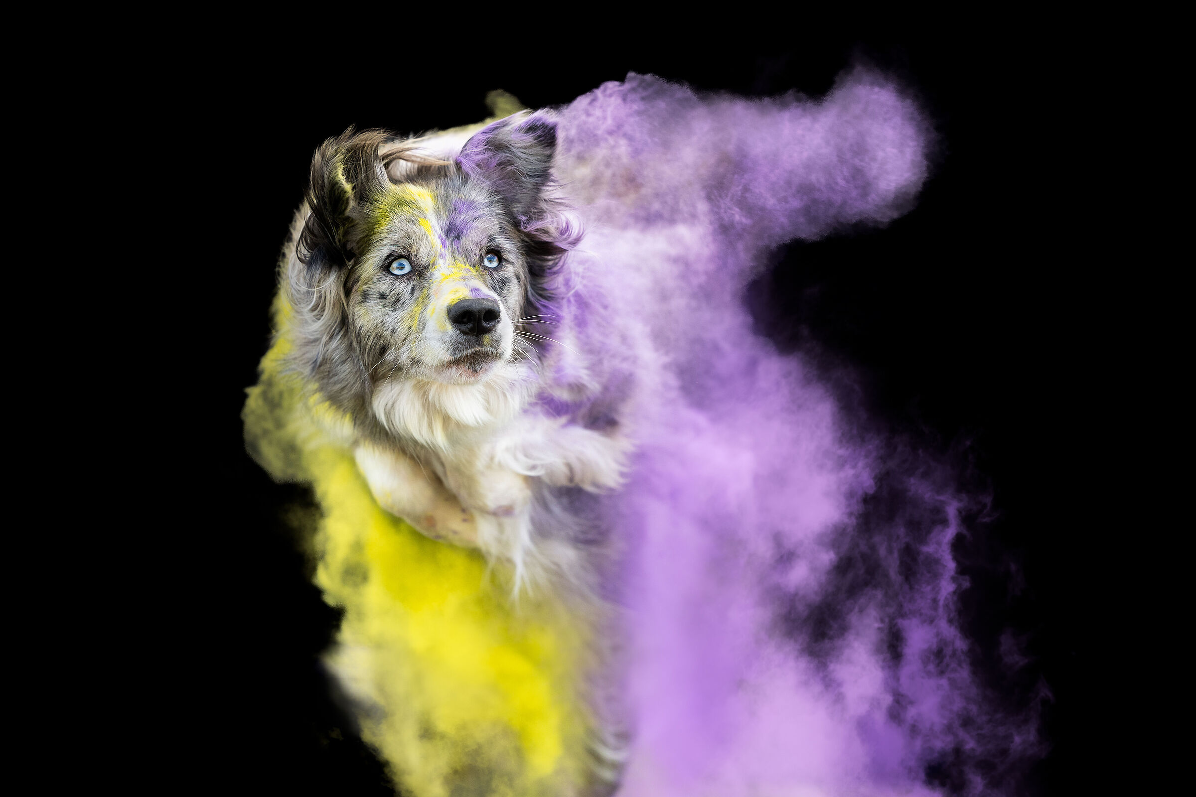 Color Jump!