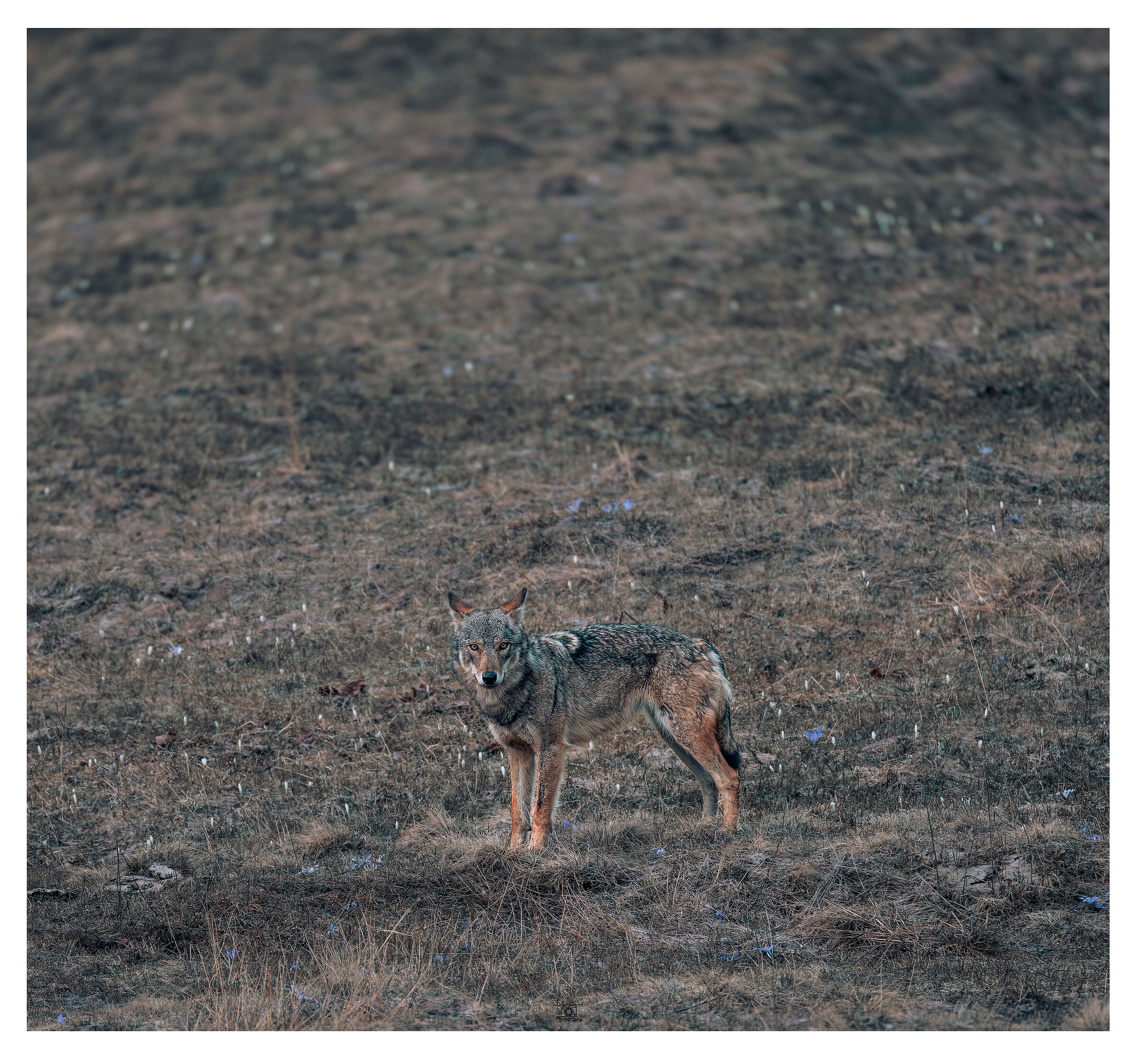 In armonia con la natura
