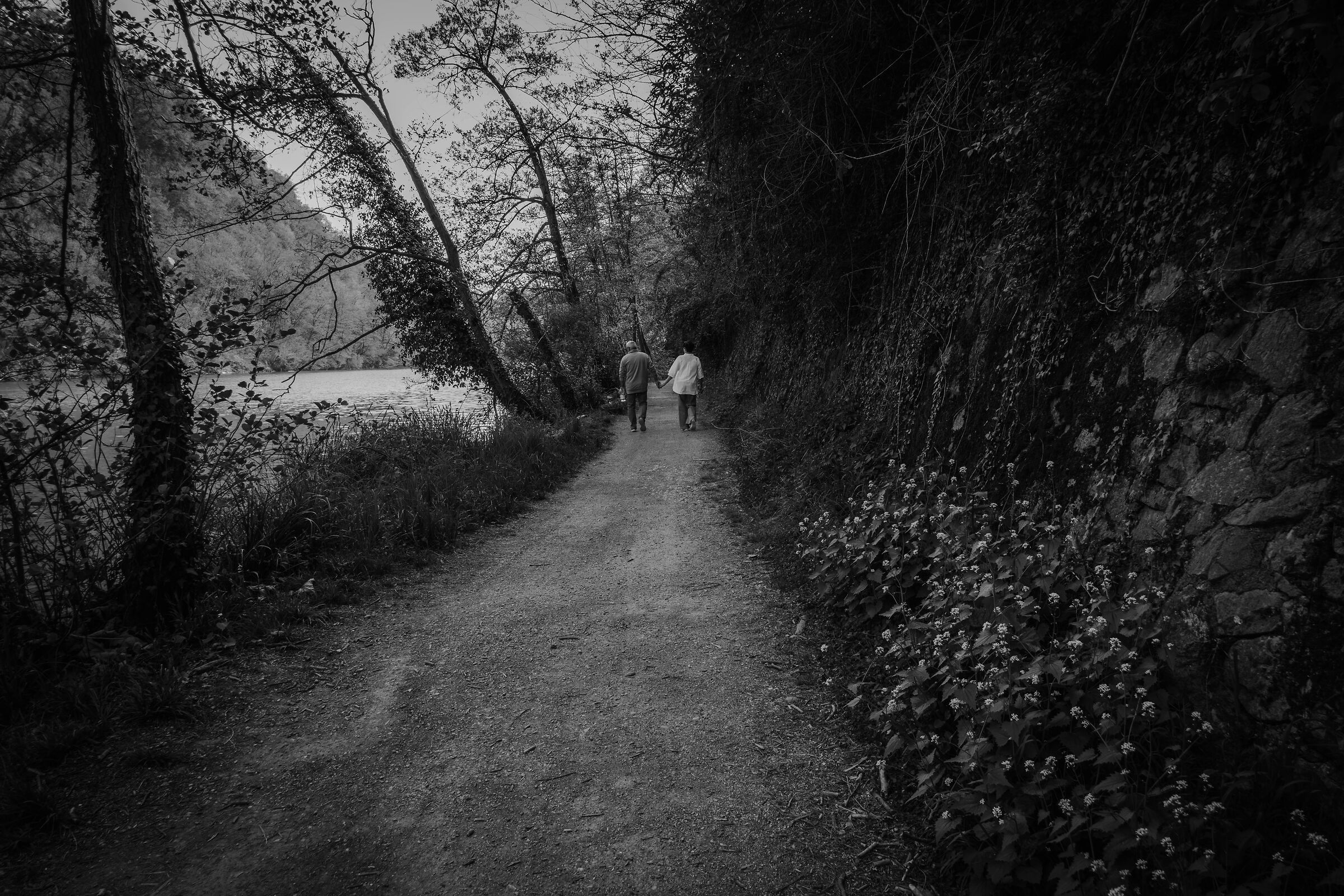 Walk hand to hand
