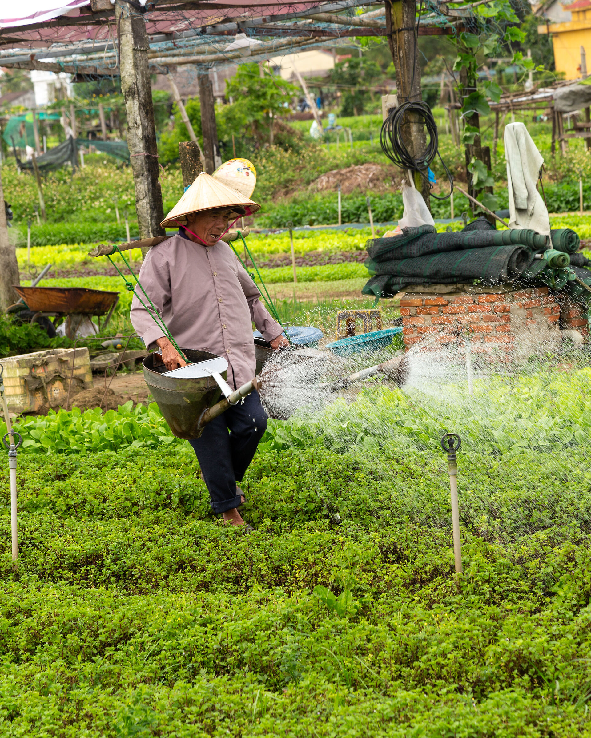 Sprinkler irrigation