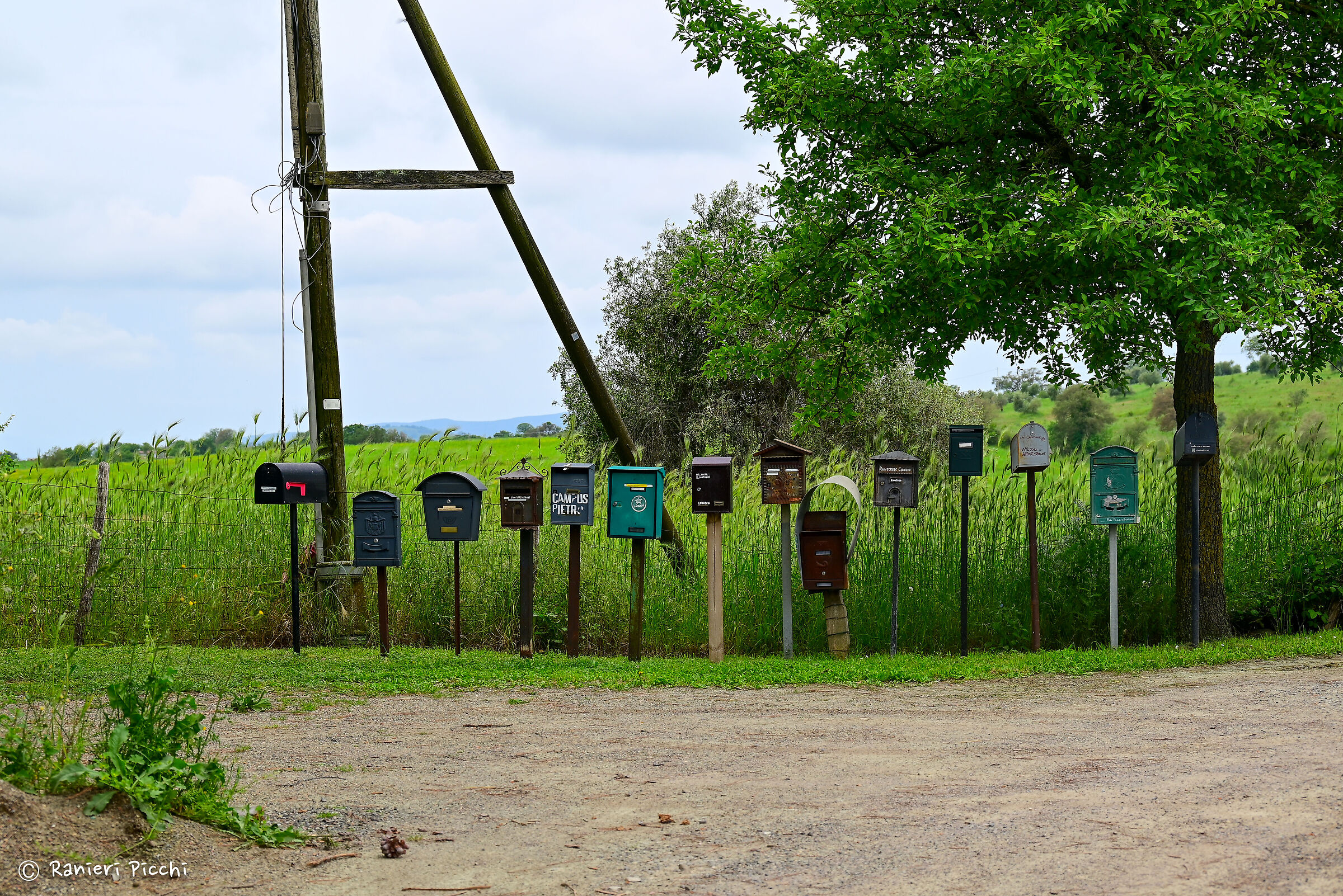 Waiting for the postman