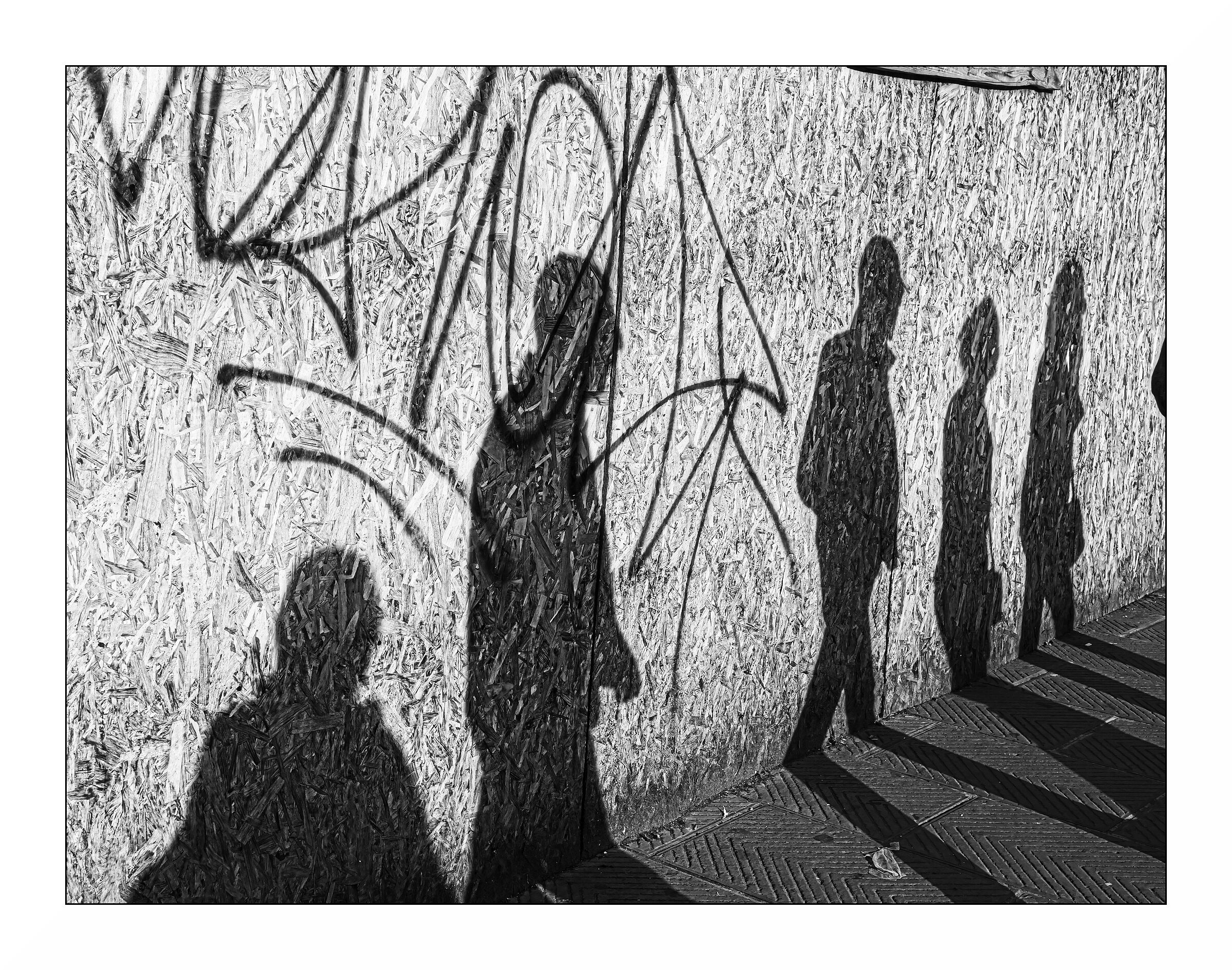 Proceeding of Shadows