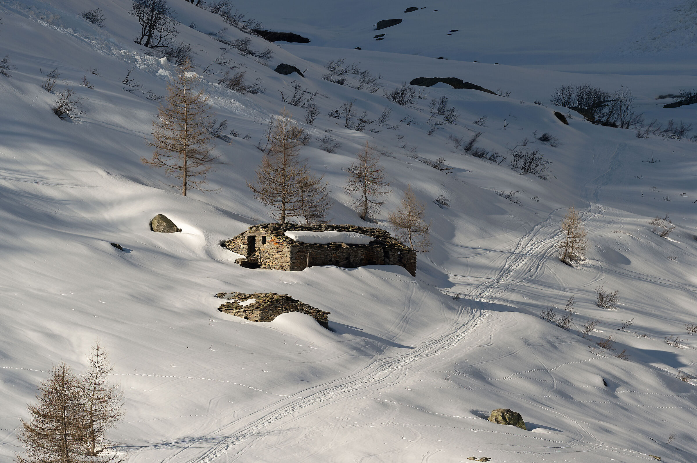 Gran Paradiso National Park - Piedmont