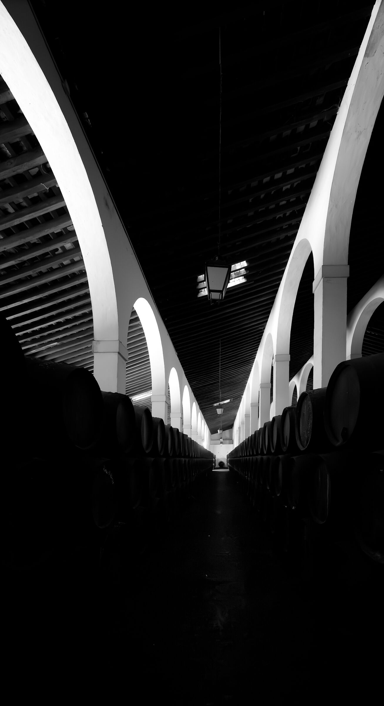Untitled Photo