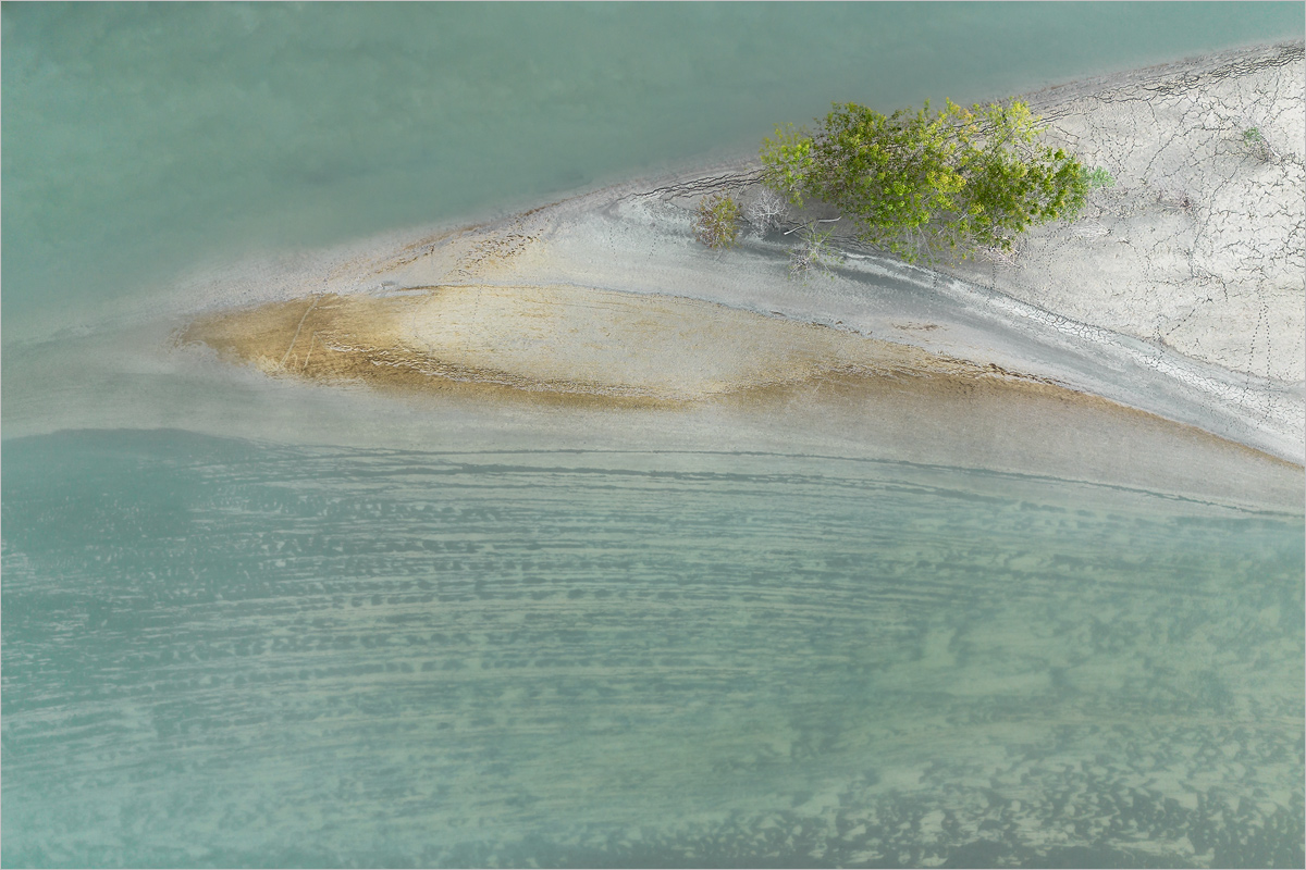 Settling of New Life