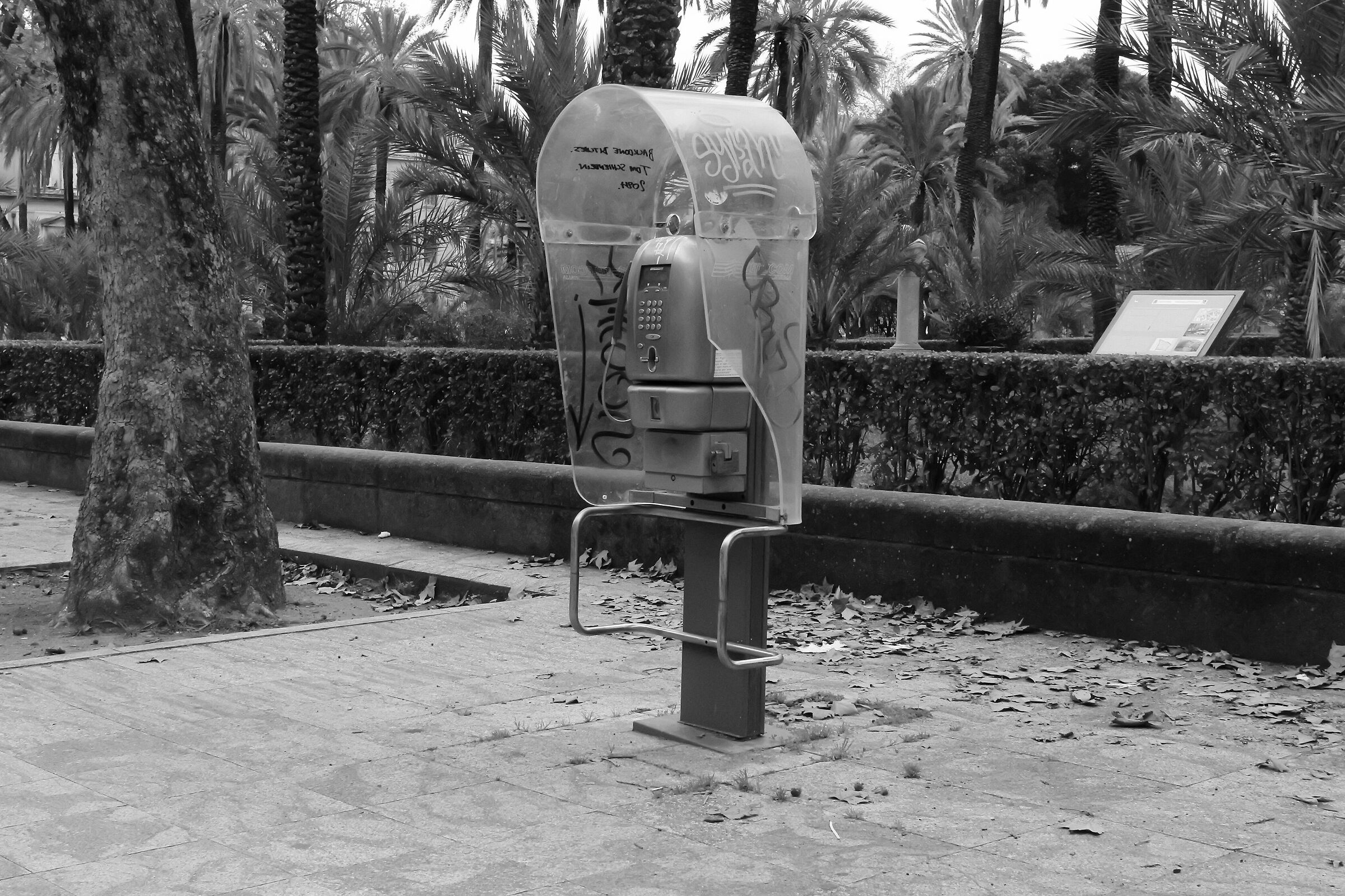 The last coin telephone - Villa Bonanno, Palermo