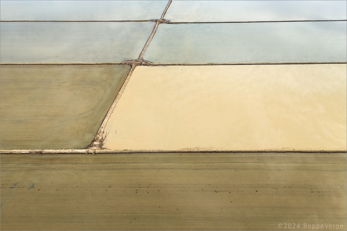 Flooding of rice paddies