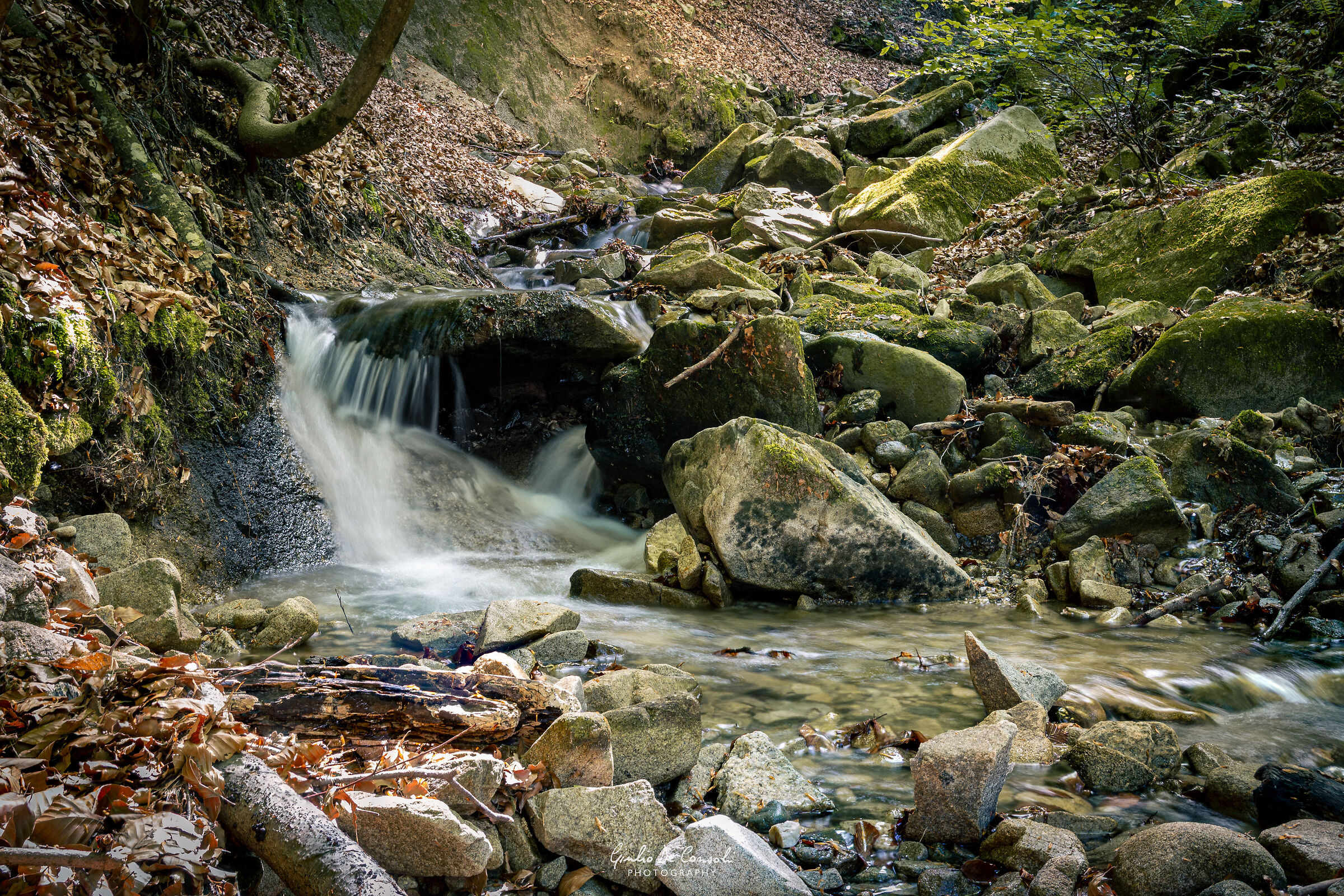 Acqua di primavera