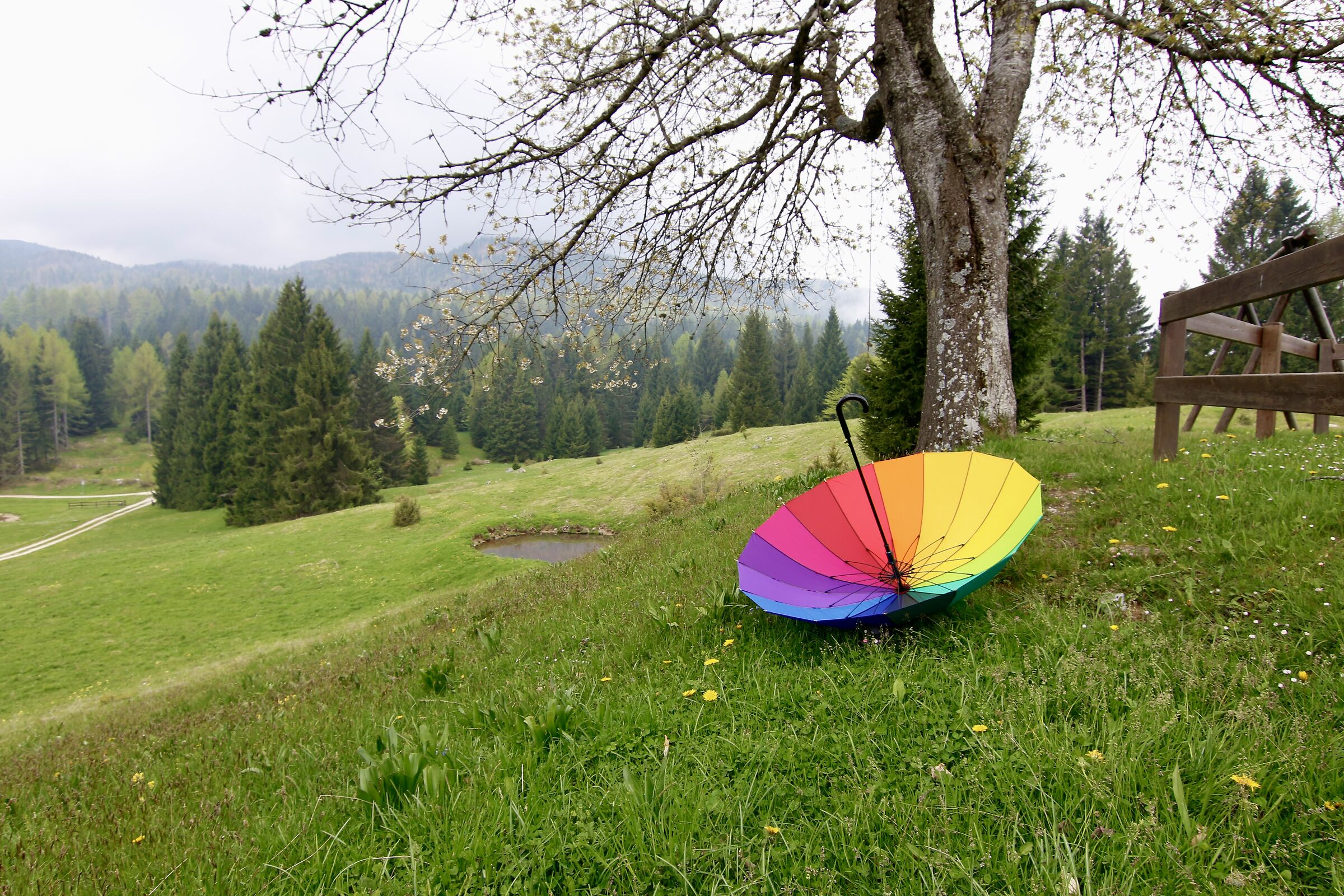 nebbia e l'arcobaleno