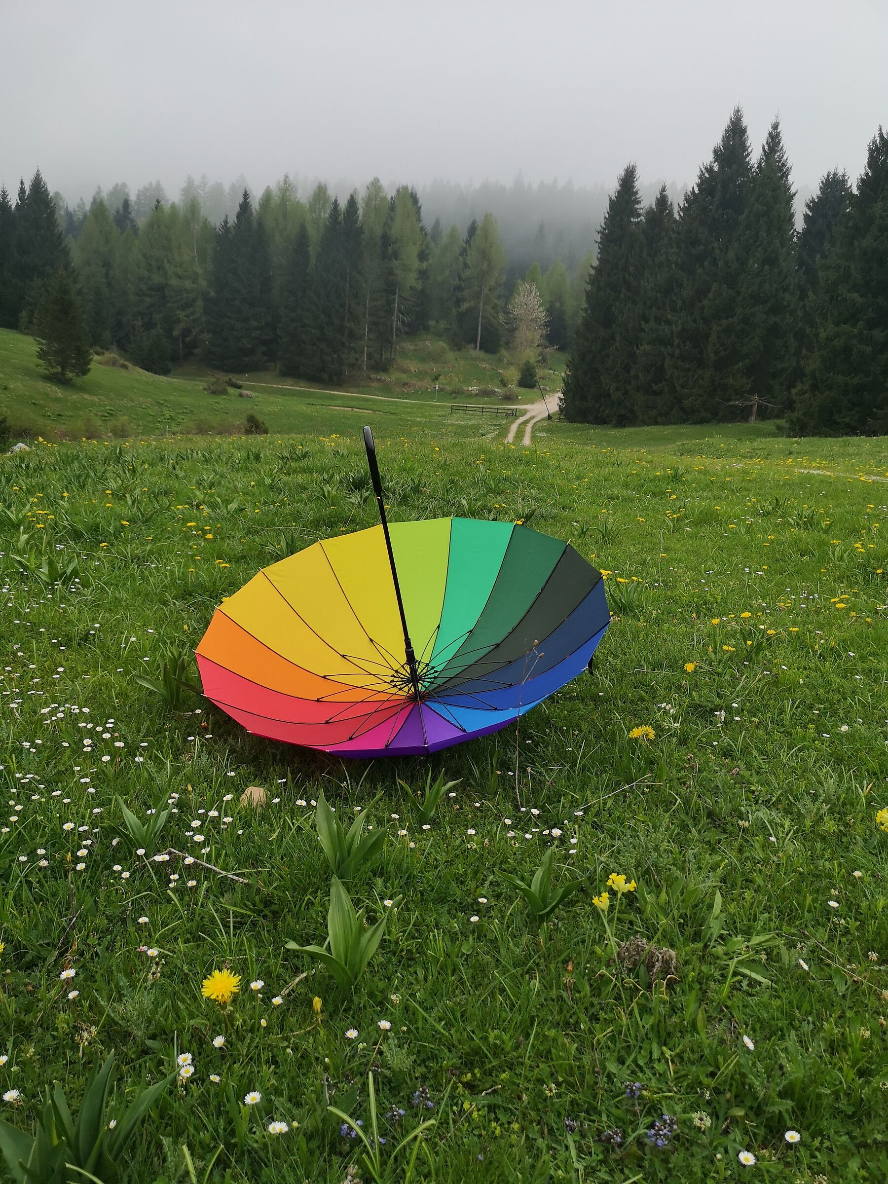 nebbia e l'arcobaleno