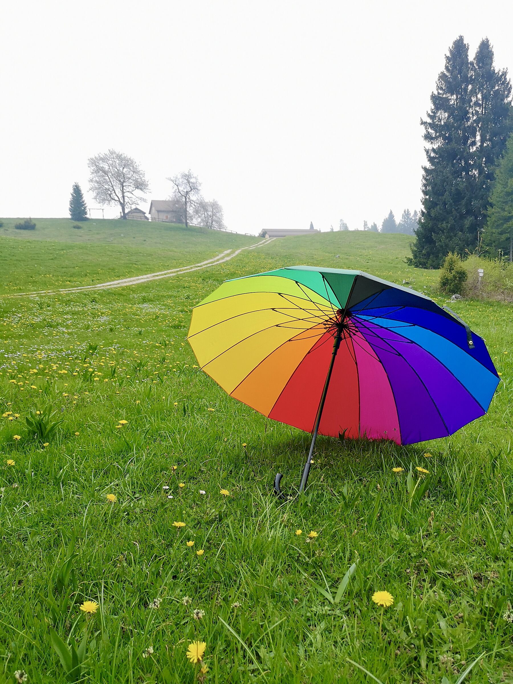 nebbia e l'arcobaleno