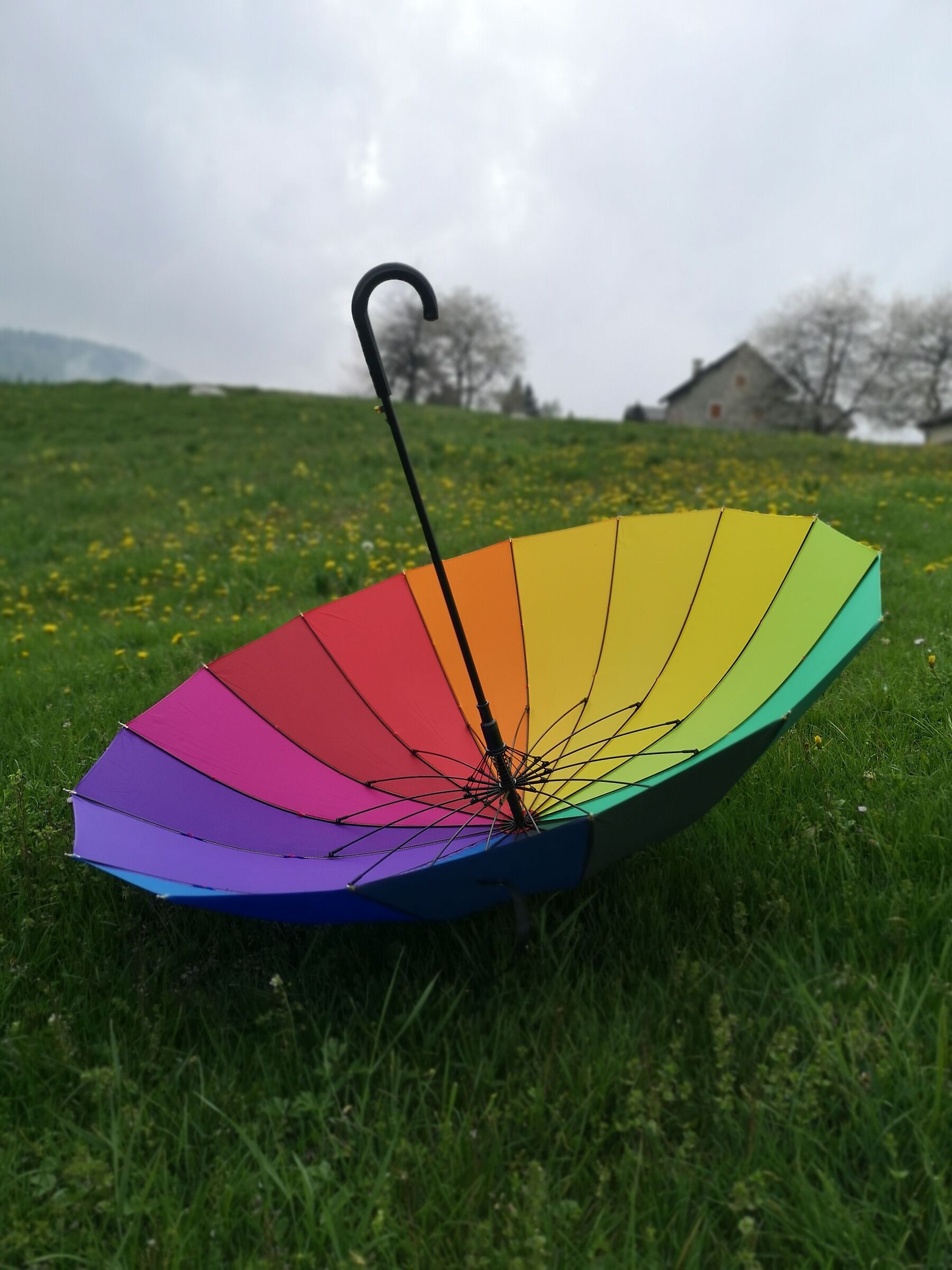 nebbia e l'arcobaleno