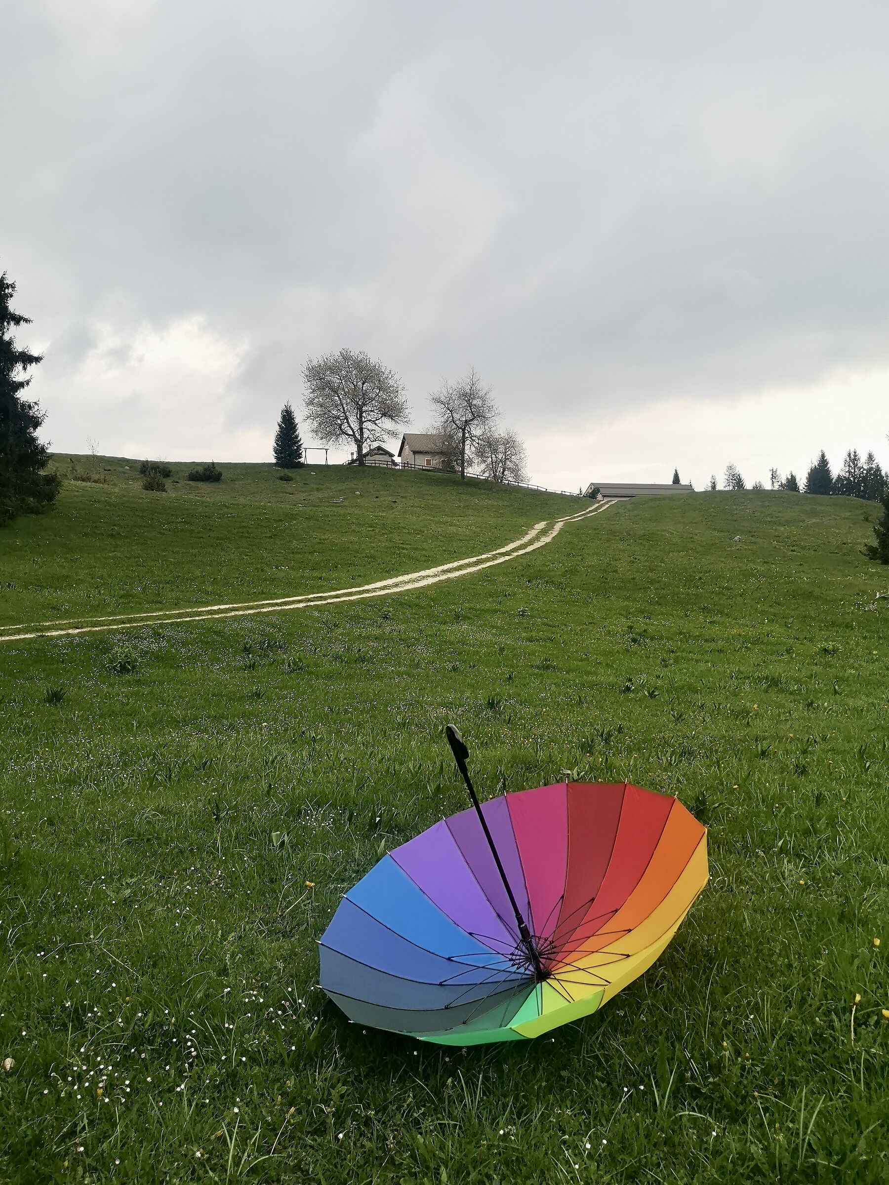 nebbia e l'arcobaleno