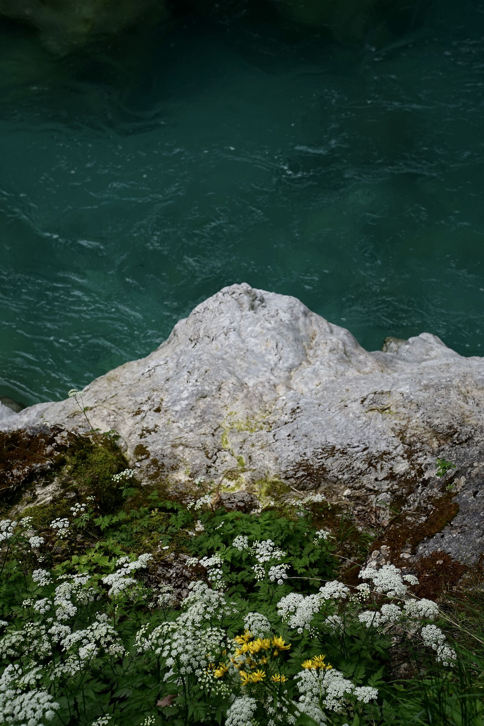 La forra della Tolminska Korita, Slovenia