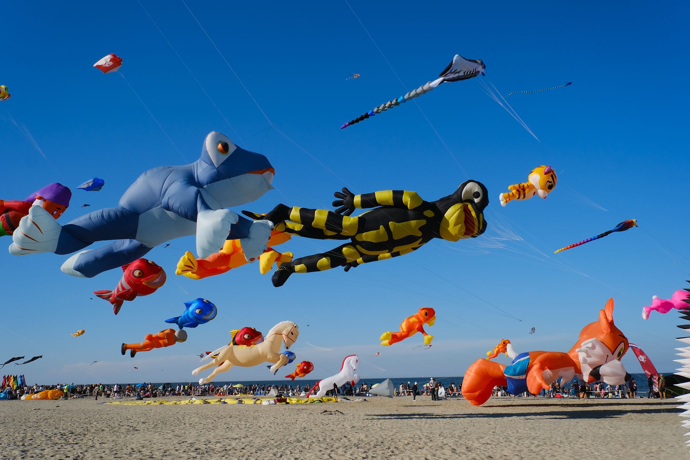 L'incanto del filo invisibile