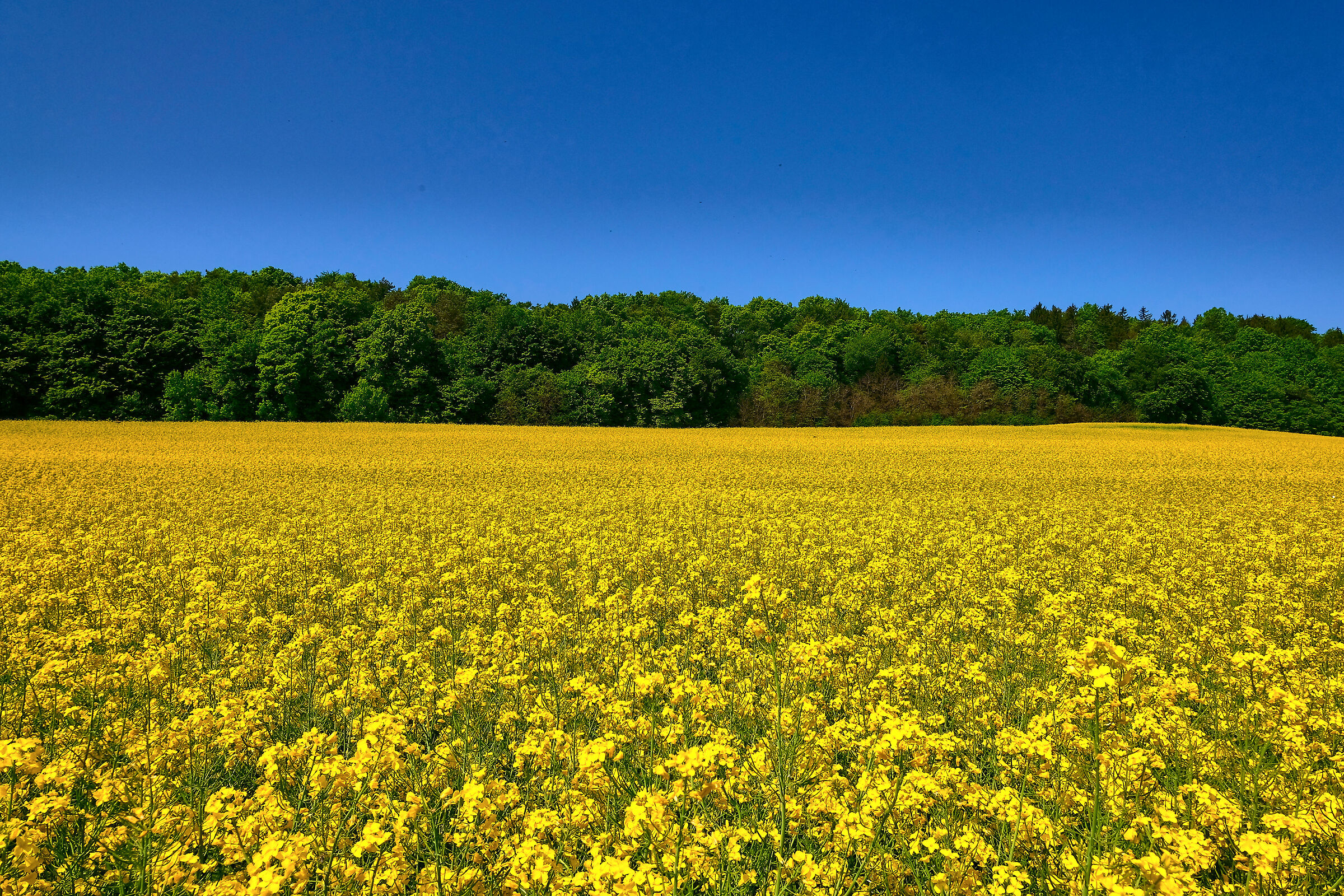 I colori della Prekmurje