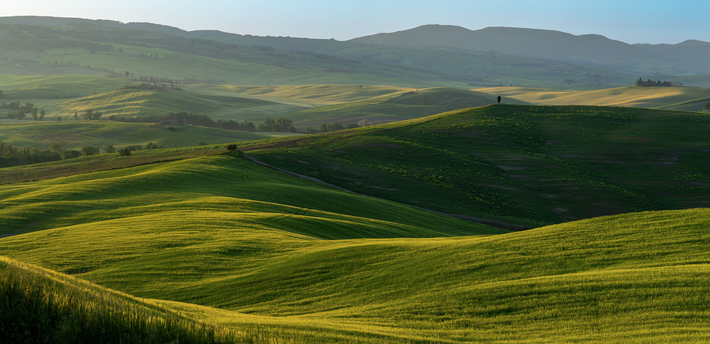 Walking through the Val d'Orcia..