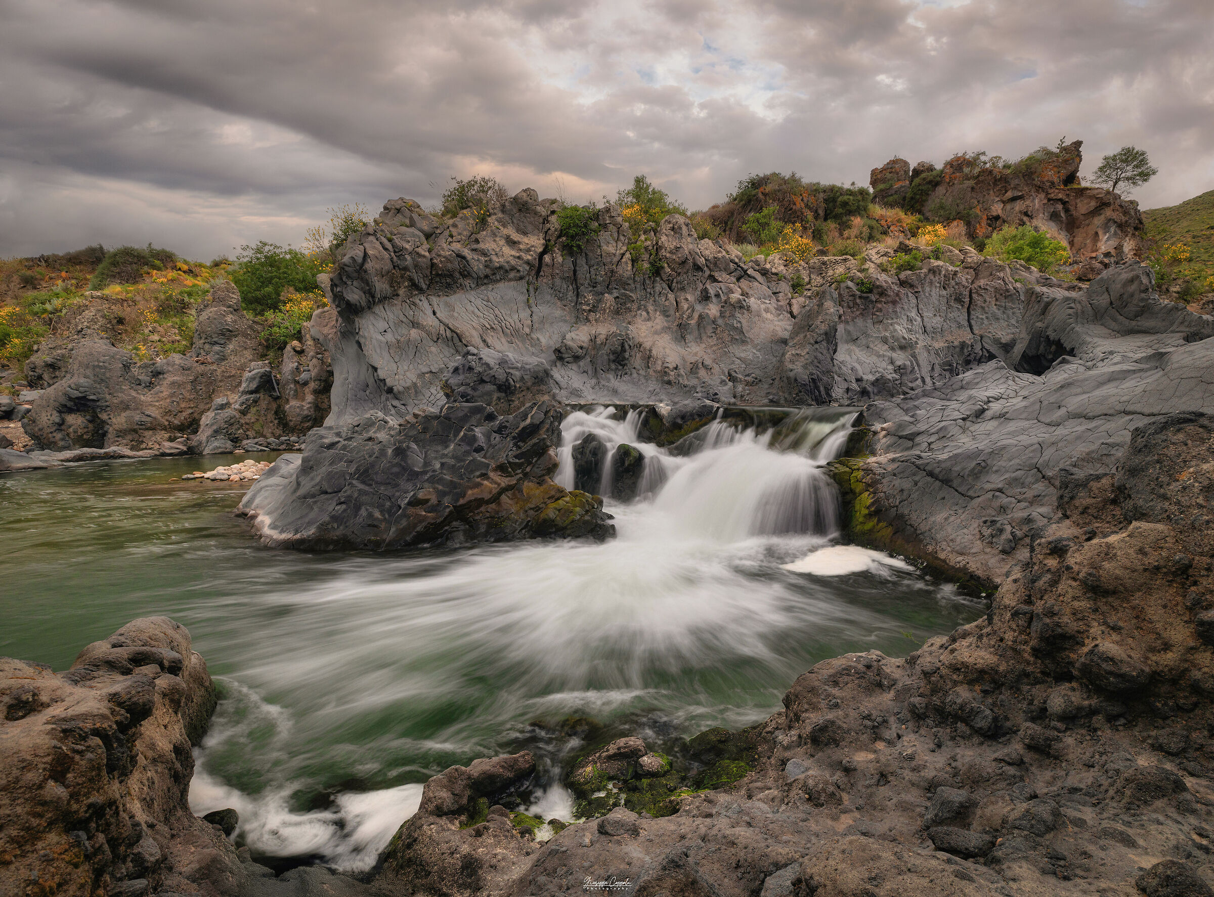Forre laviche del fiume Simeto - Sicilia