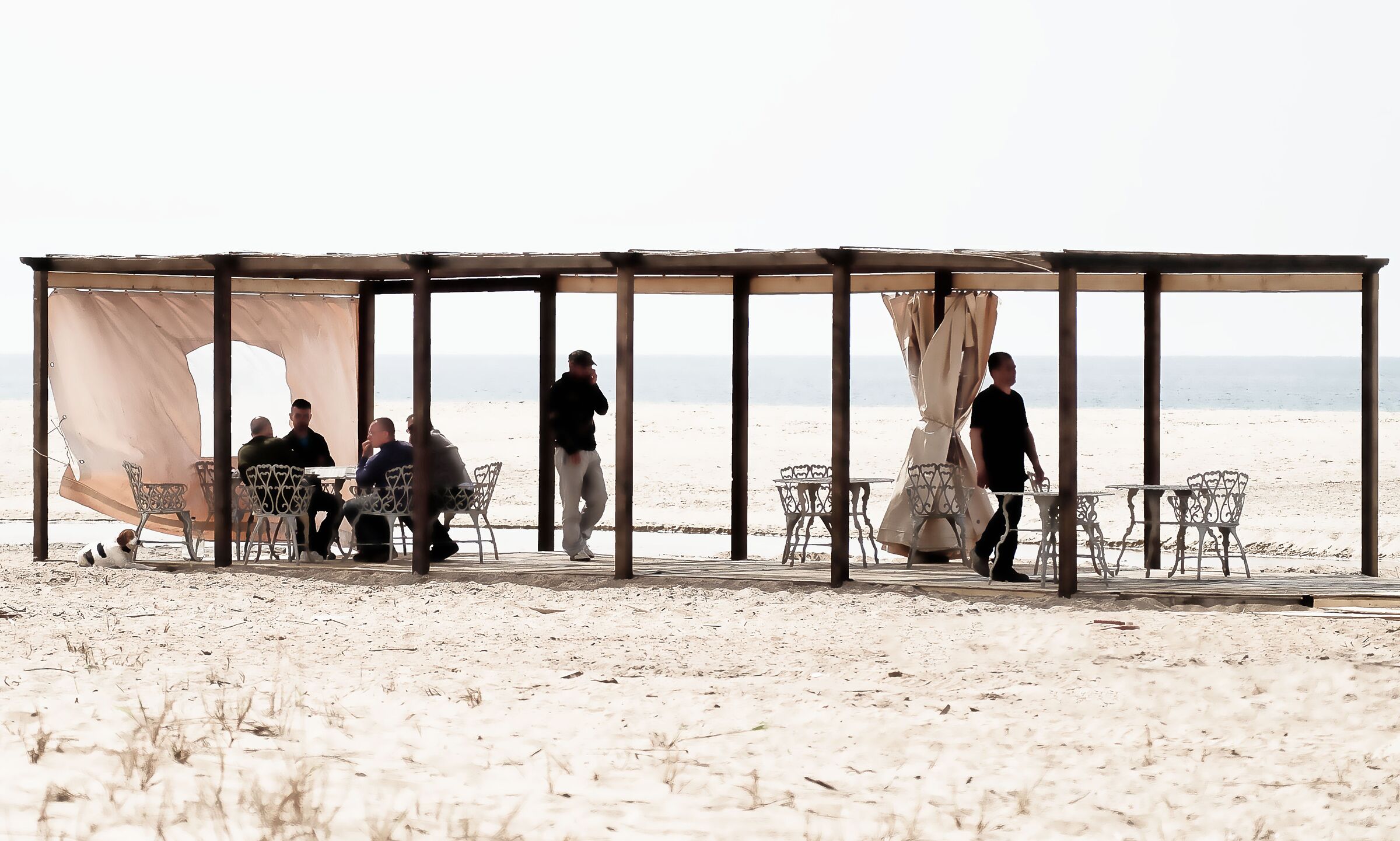 6 personaggi in cerca d'autore