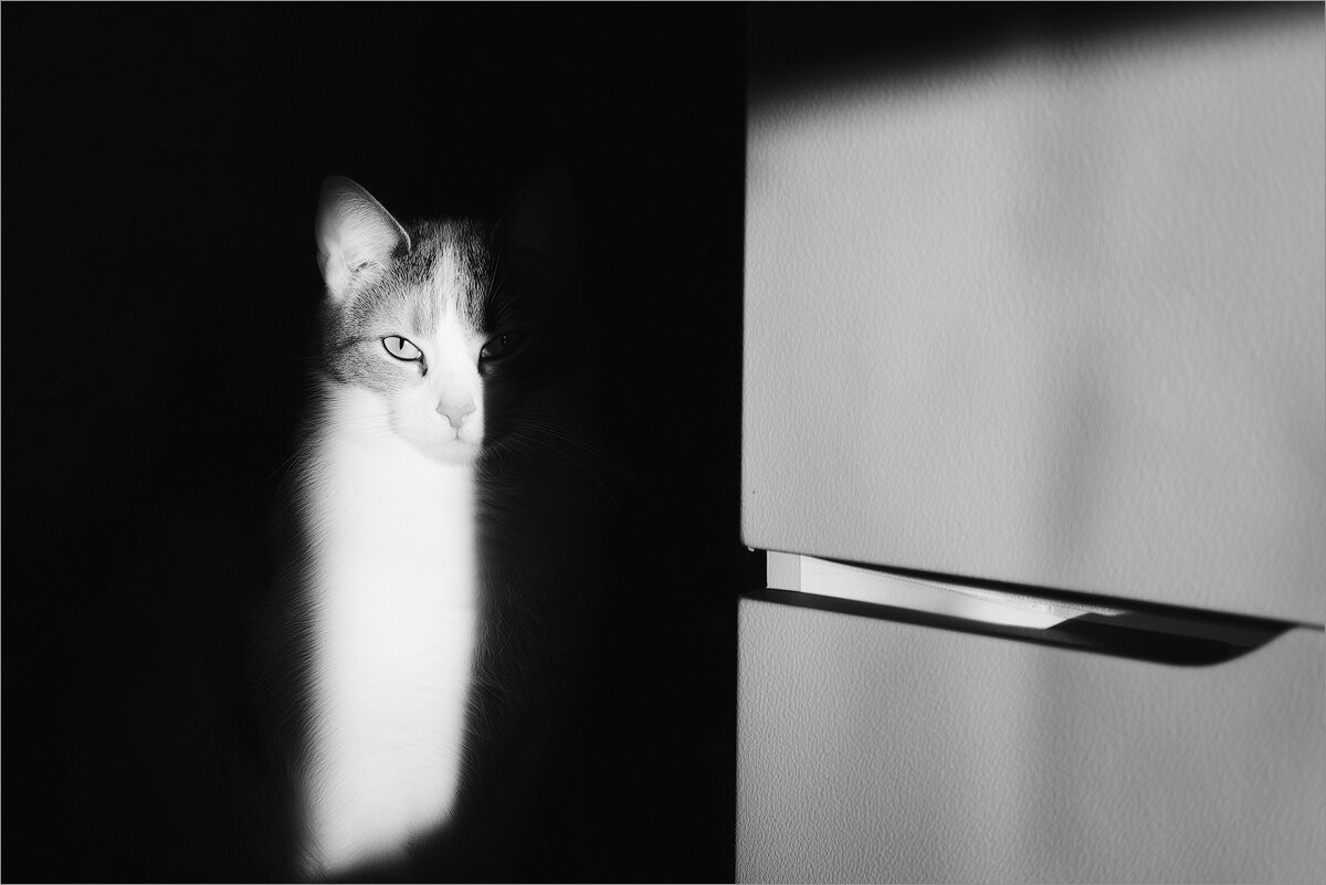 Look at you!