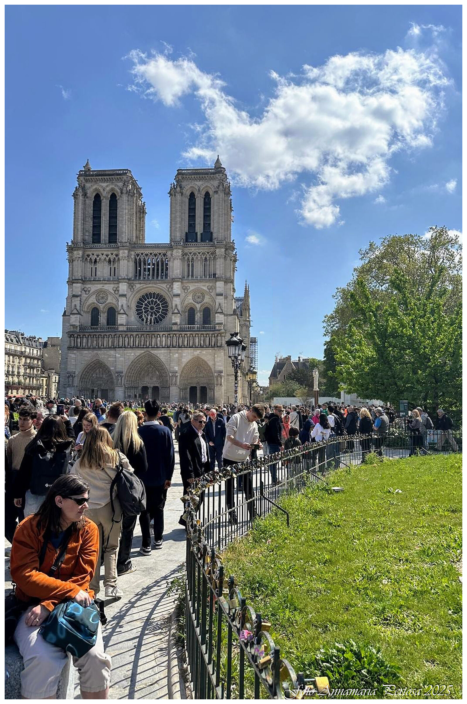 Notre Dame rinata a nuova vita