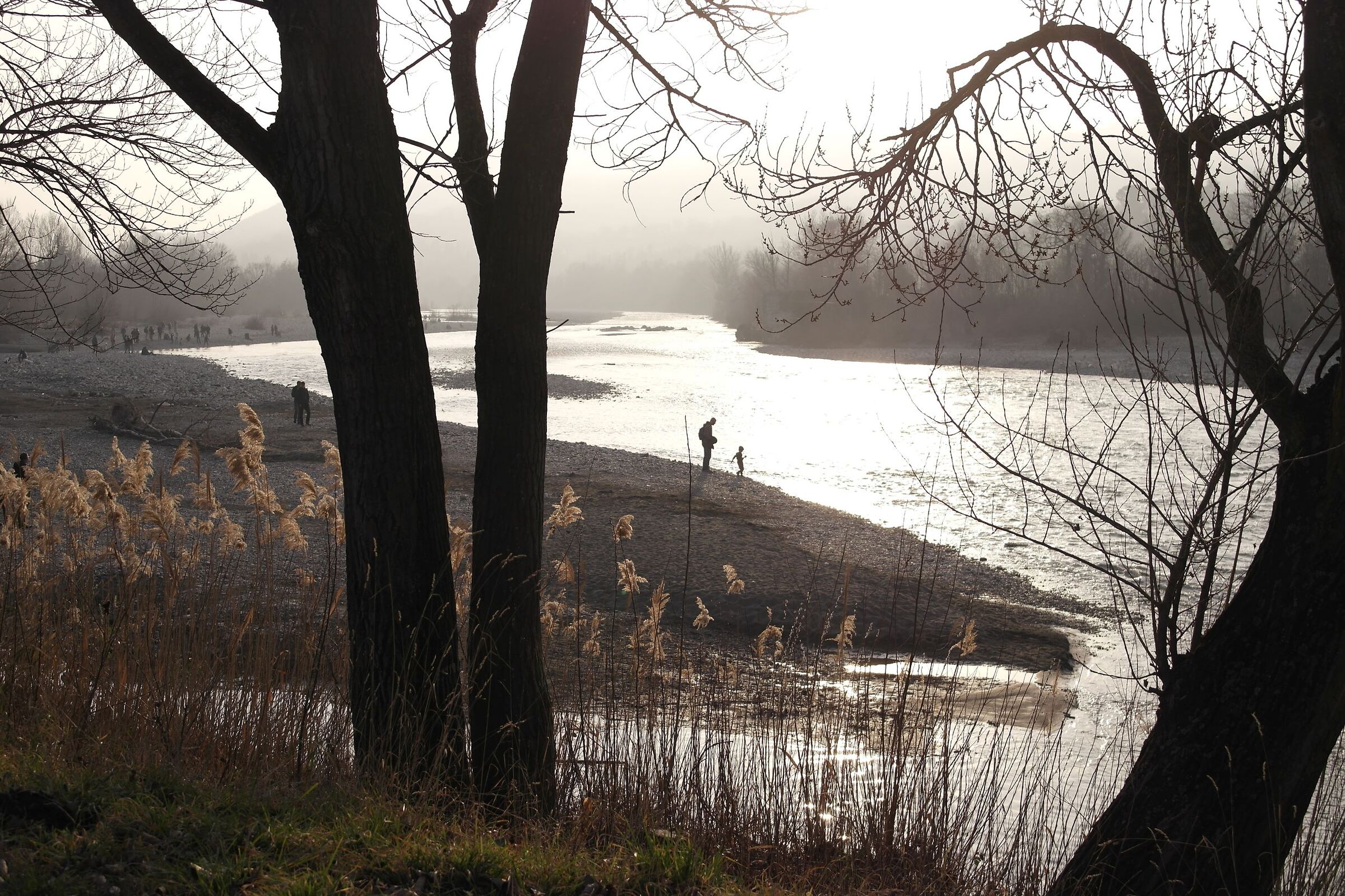 Scatto rubato in riva al fiume