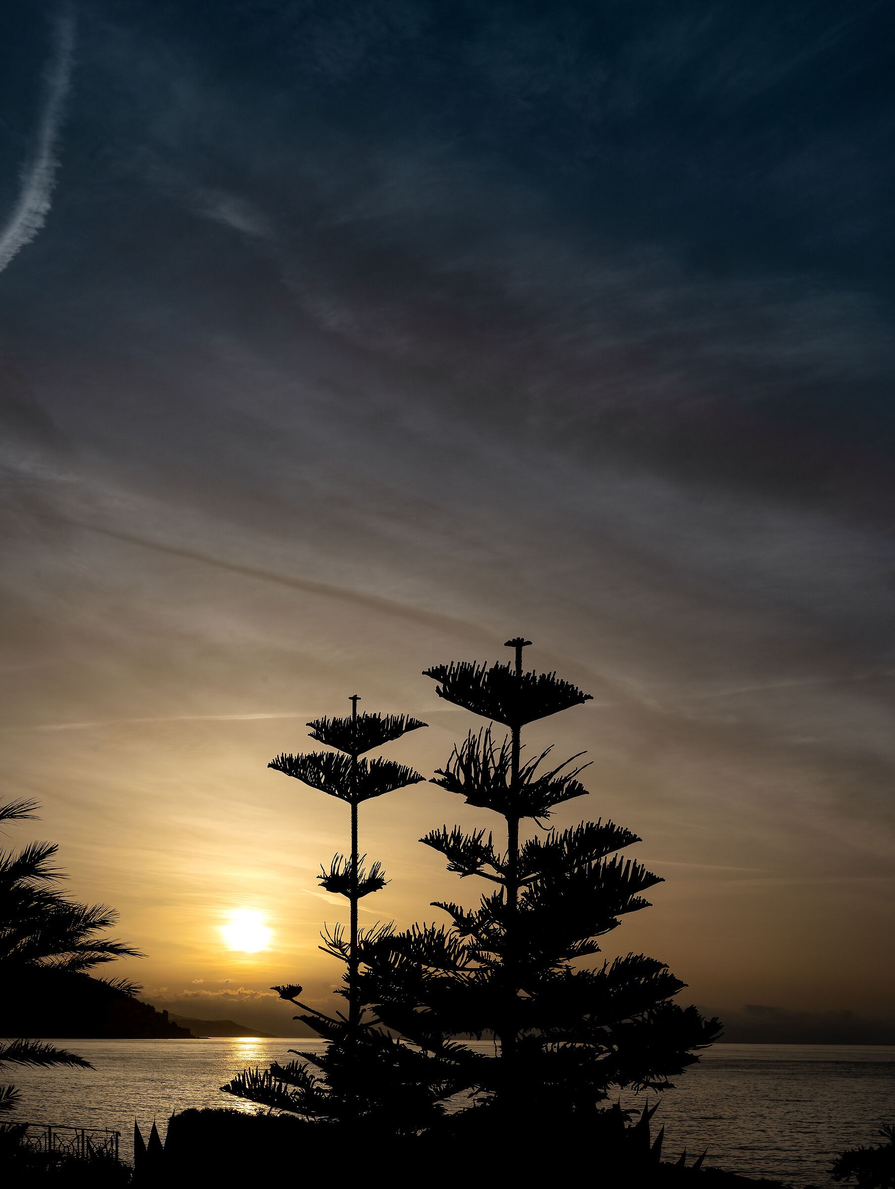 Bordighera - Liguria