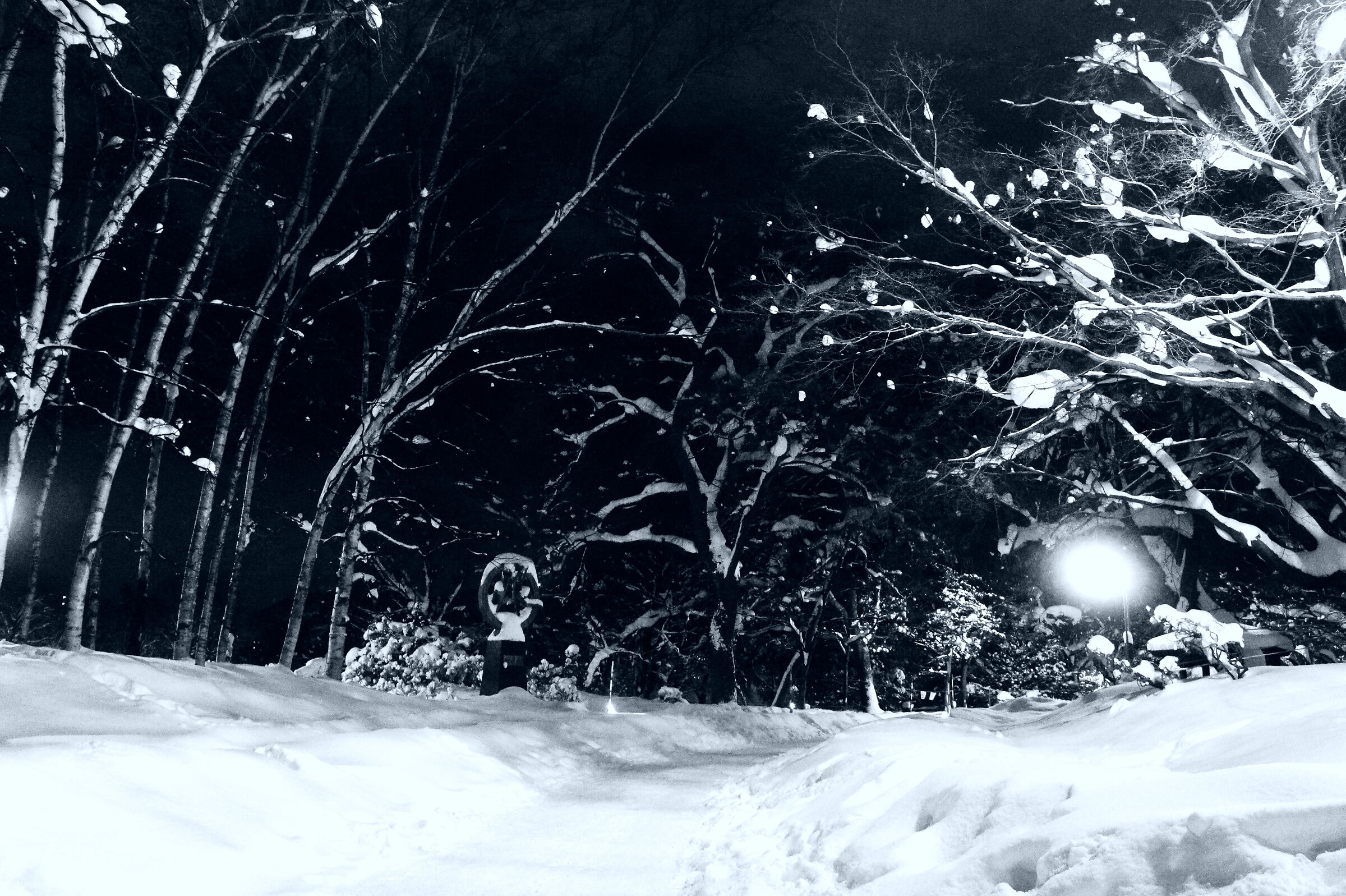 A light-filled path on a winter night