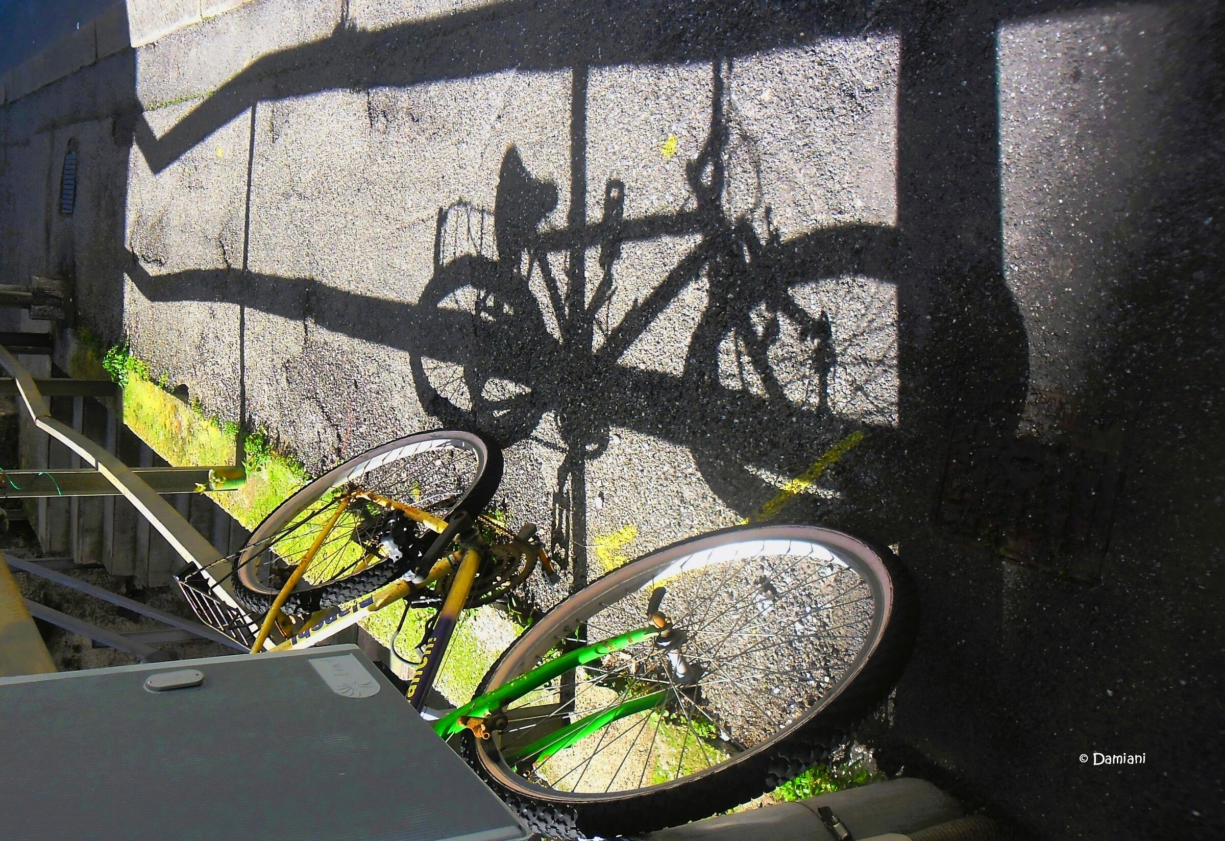 La rivolta di un'Ombra