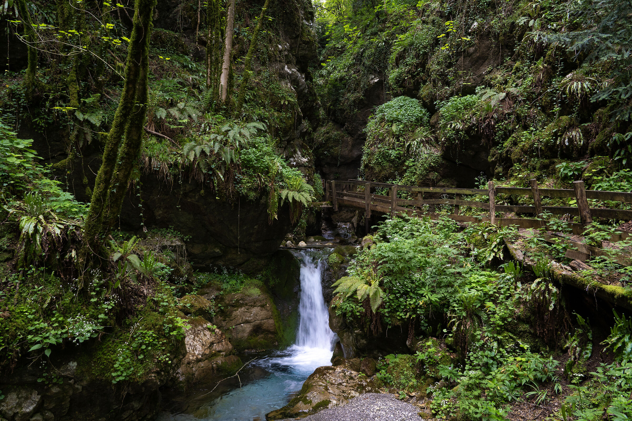 Passeggiata rilassante