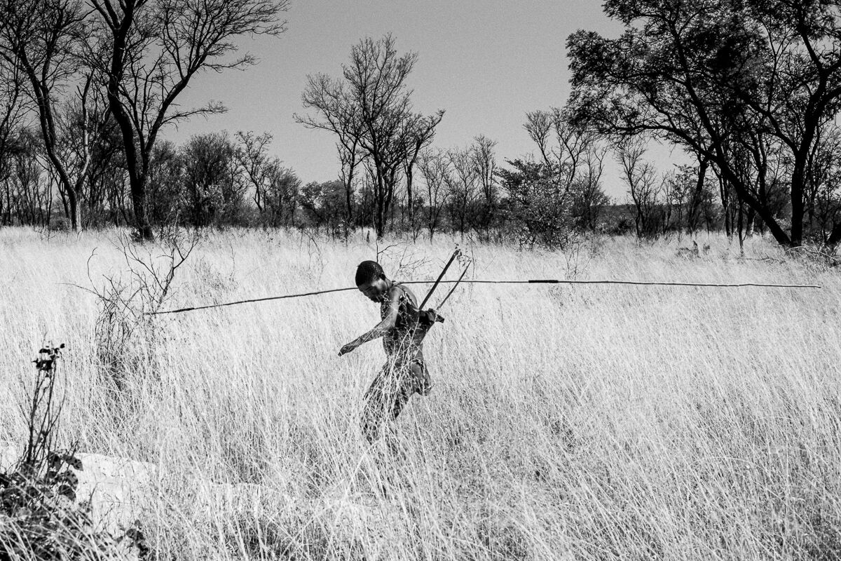 Porcupine hunting in the Namibian bush
