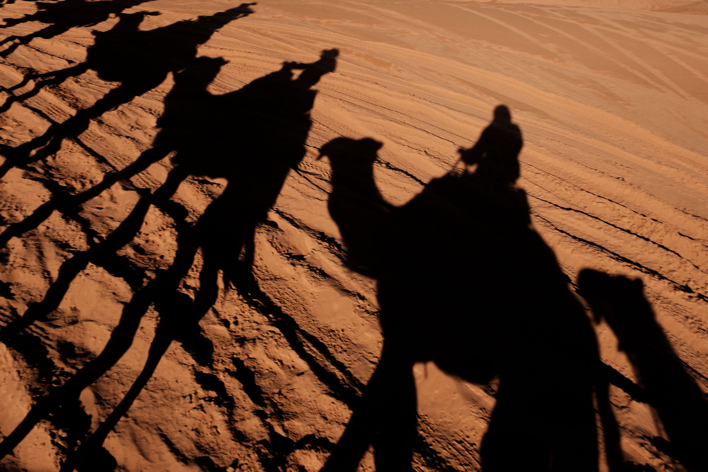 Shadows in the Desert