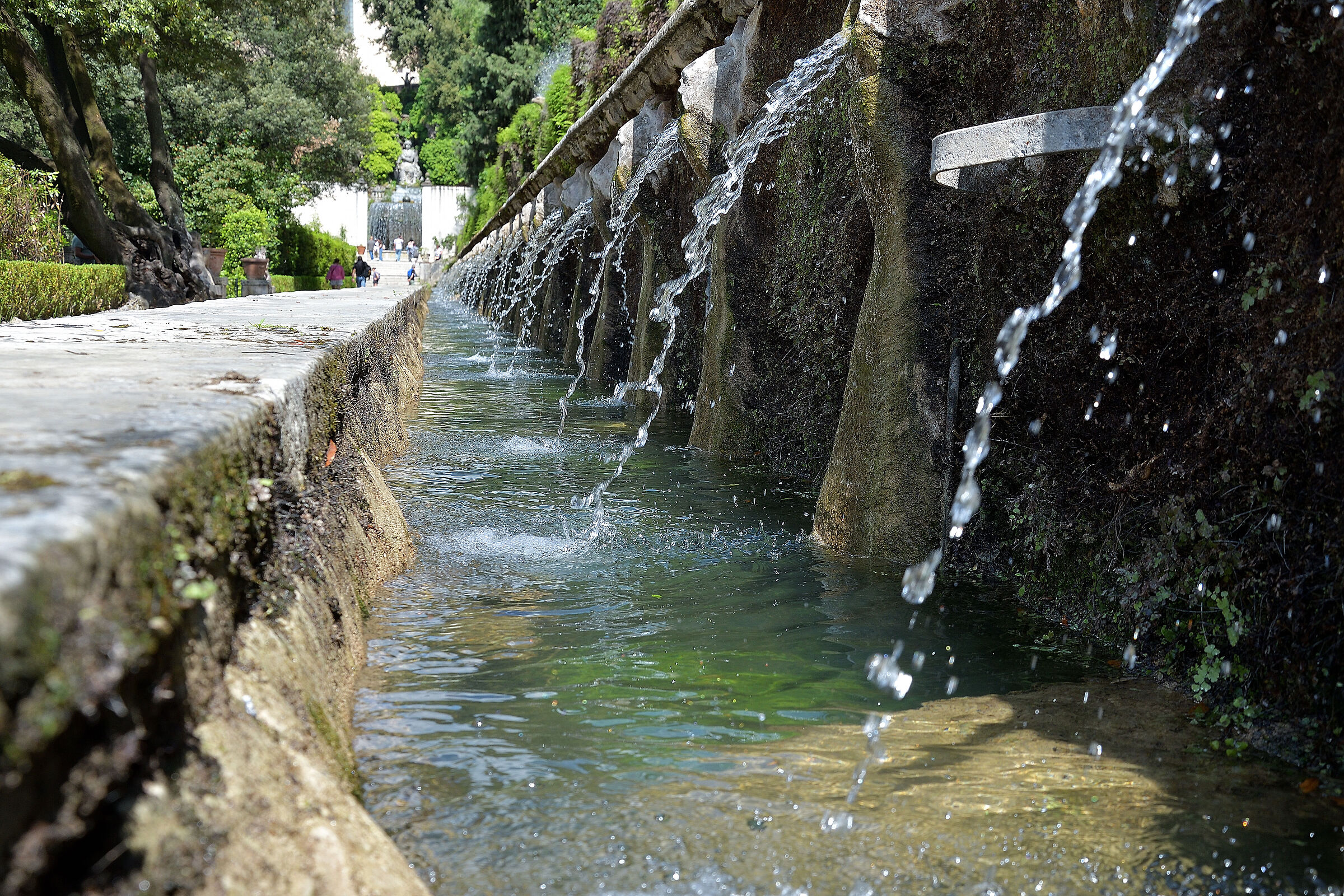 The Hundred Fountains