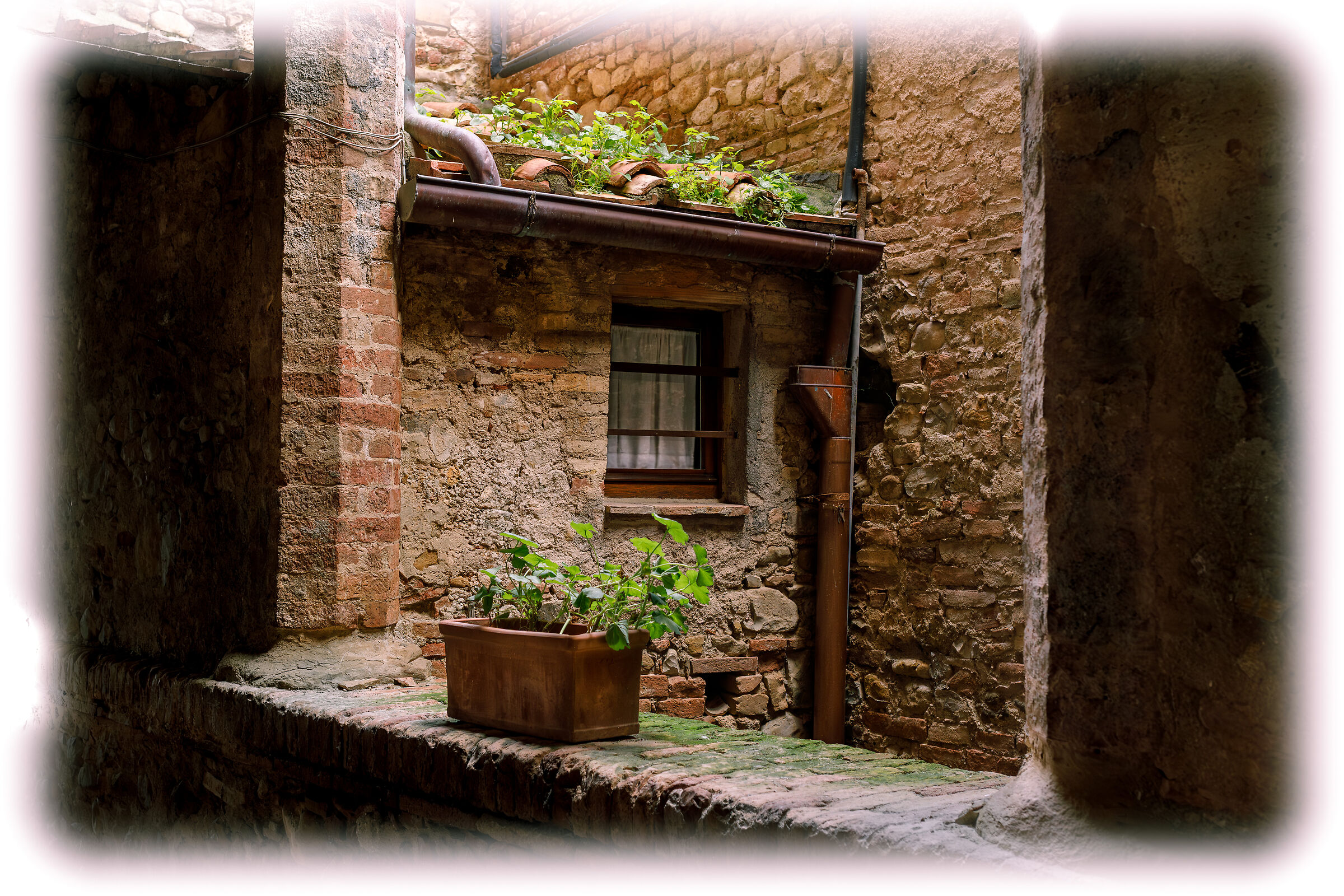 Angoli di Memoria ( Casole d'Elsa )