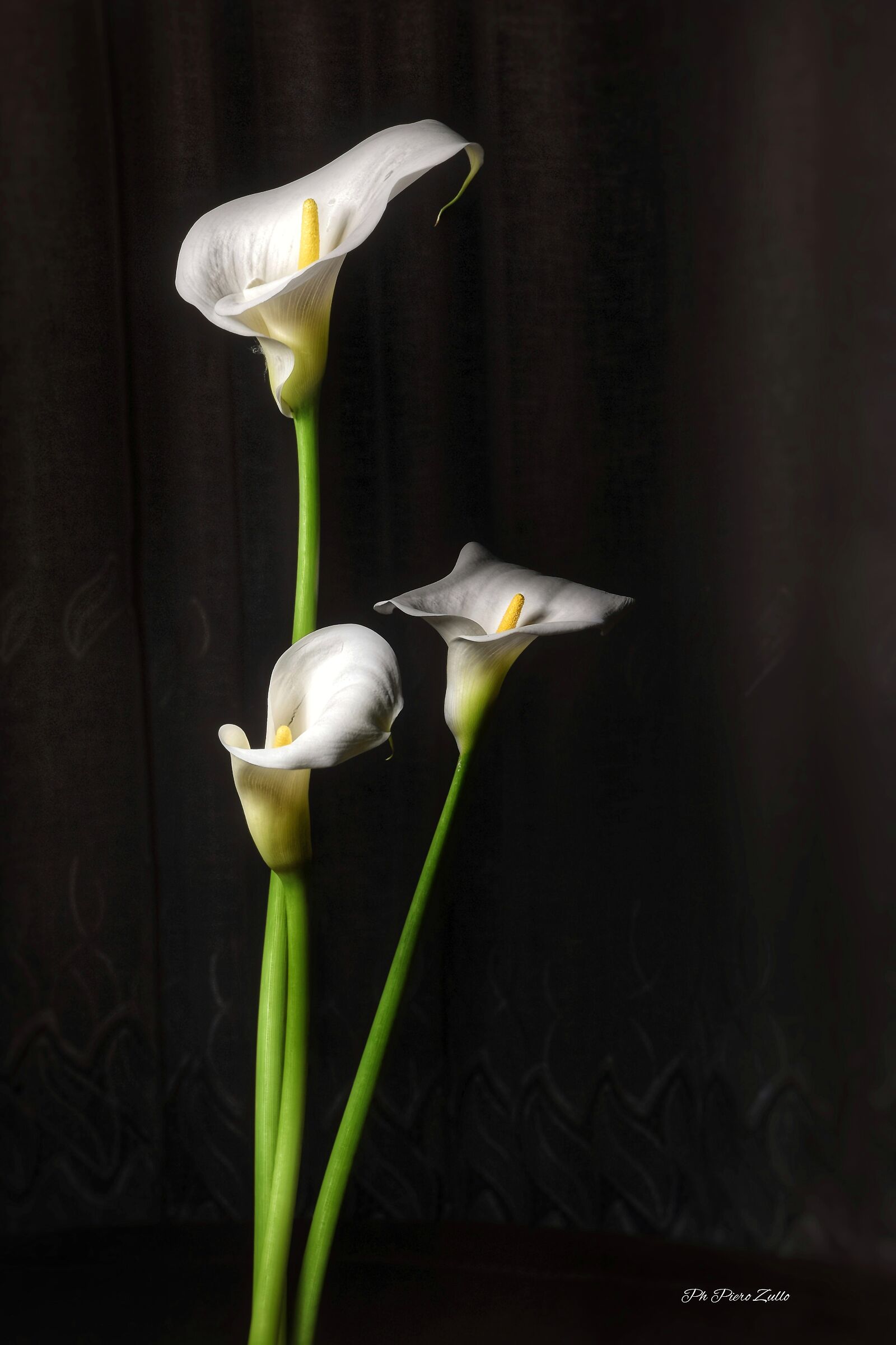 There are three of us left