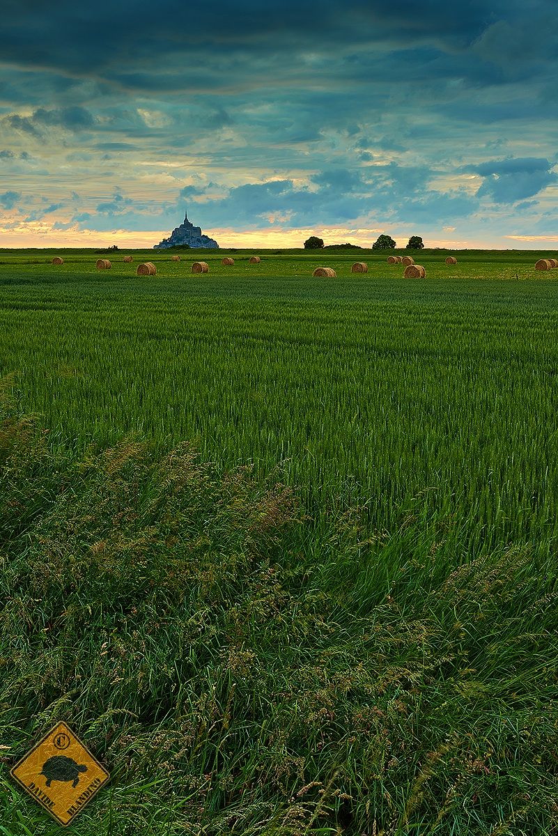 Le Mont Saint Michel bucolic version